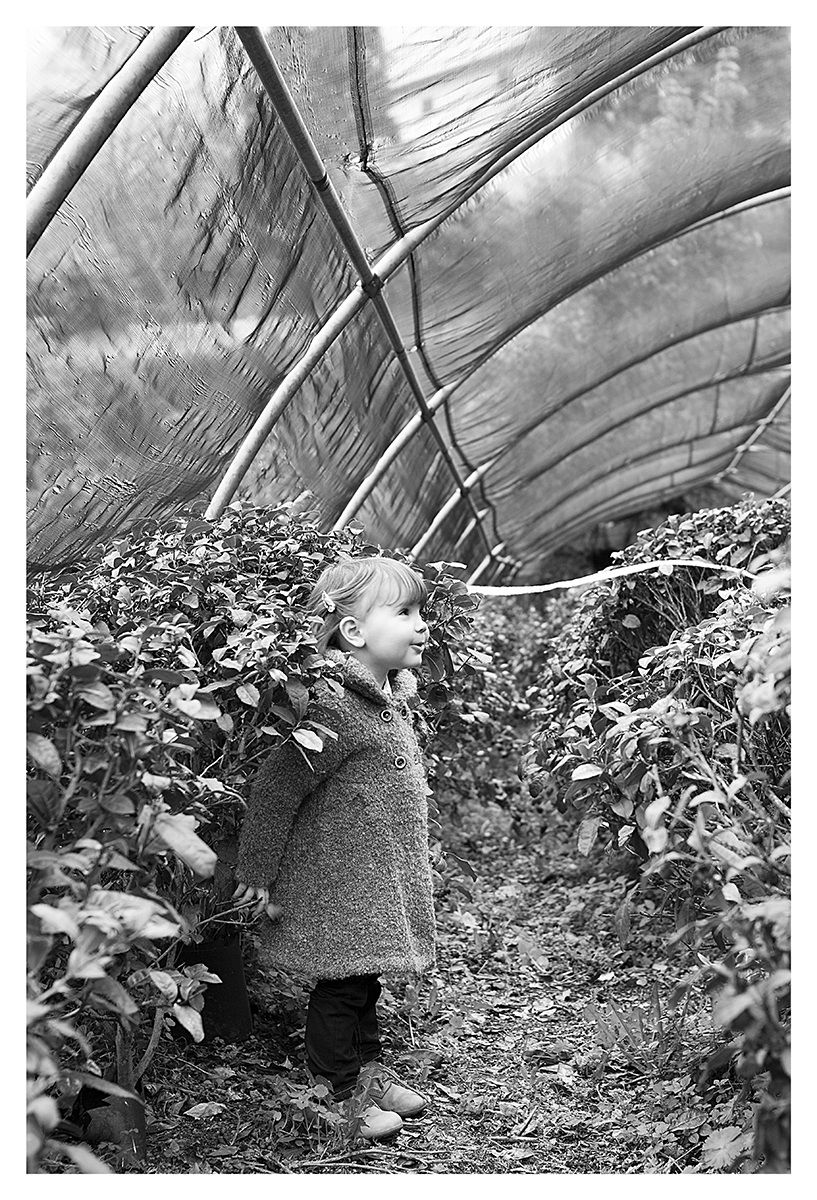 piccole donne crescono