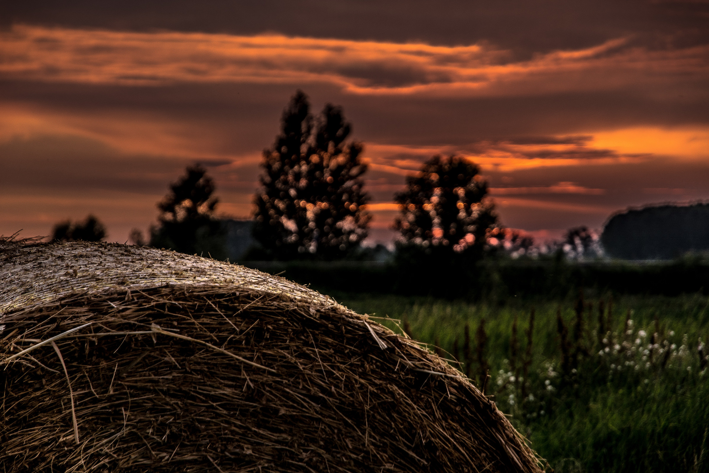 Un tramonto dei giorni lunghi  nella bassa  (vedole )