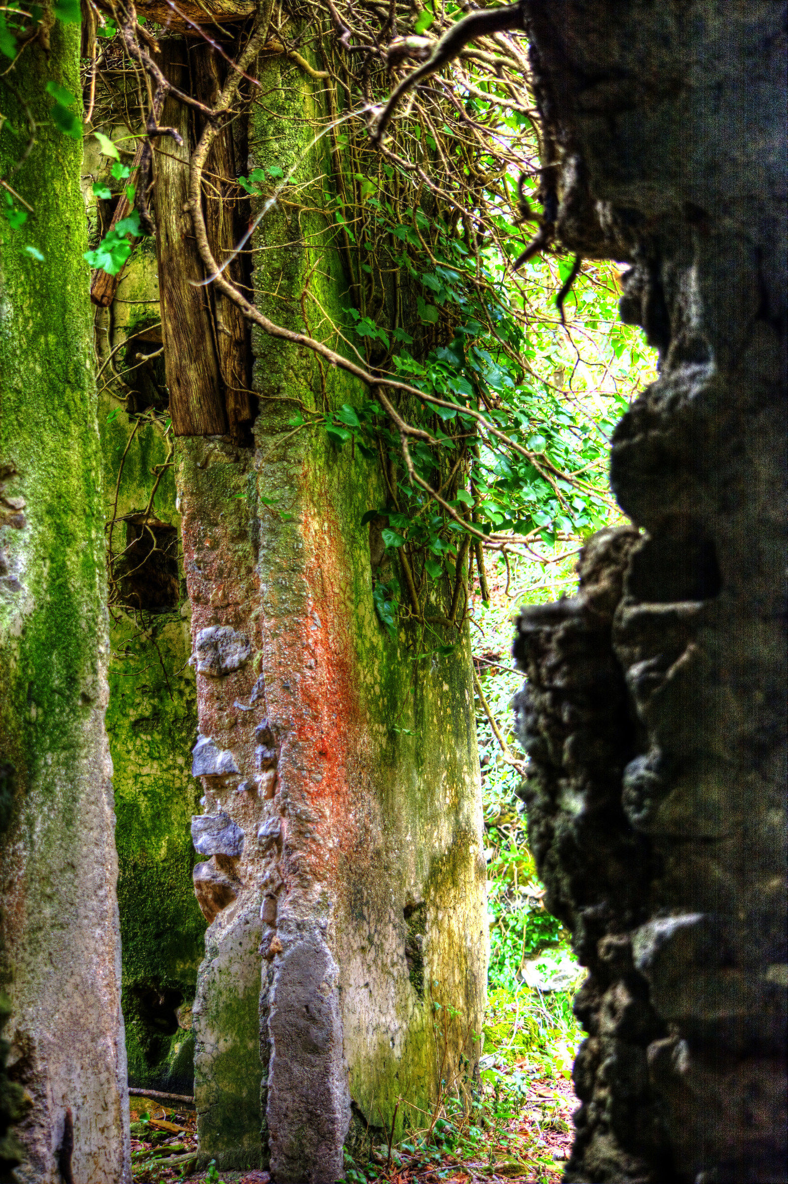 Ancient walls old paper mill - Valle delle Ferriere