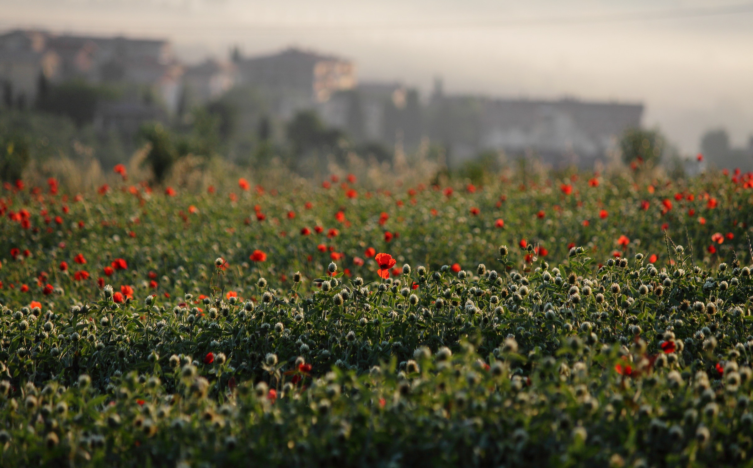 .... And there is a new day ...