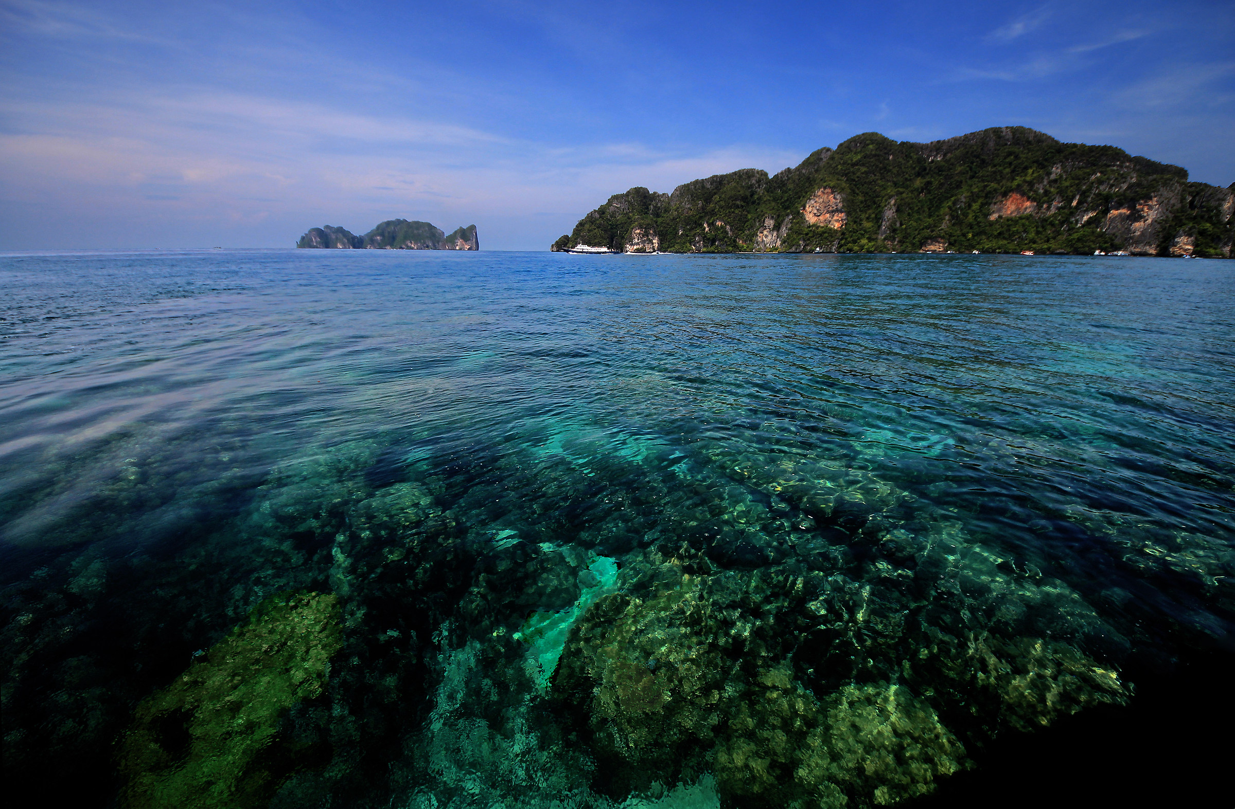 seabed near the Phi Phi Islands