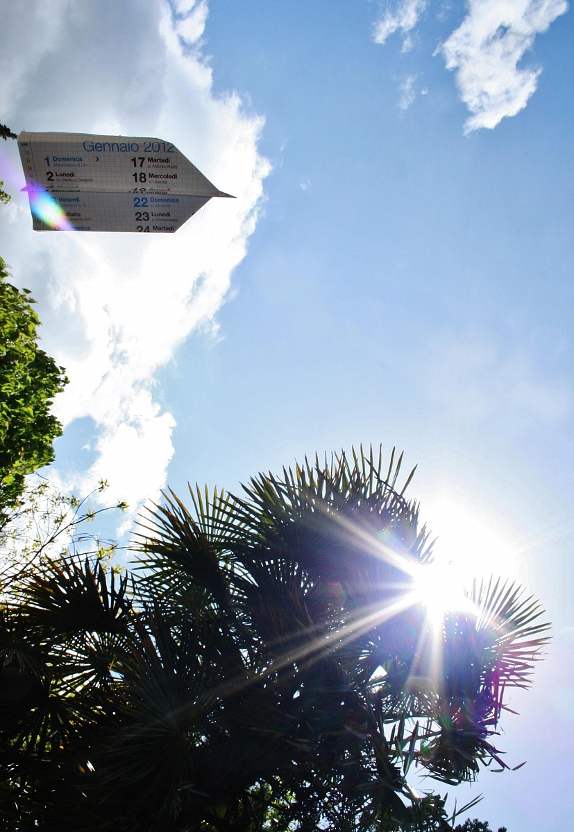 Il tempo vola! (tempus fugit)