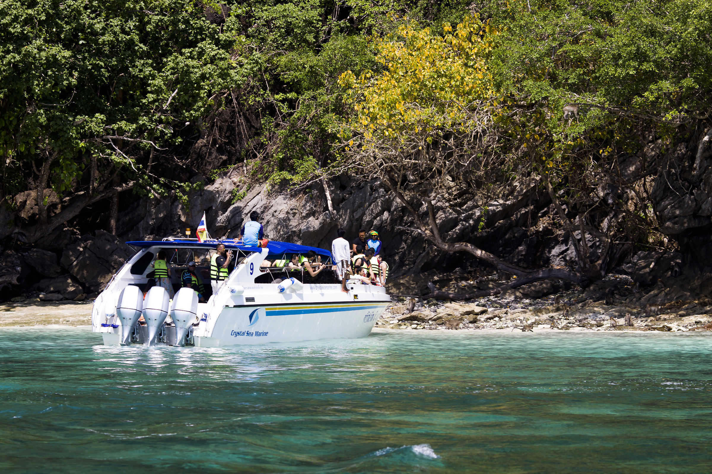 Monkey Island Phuket