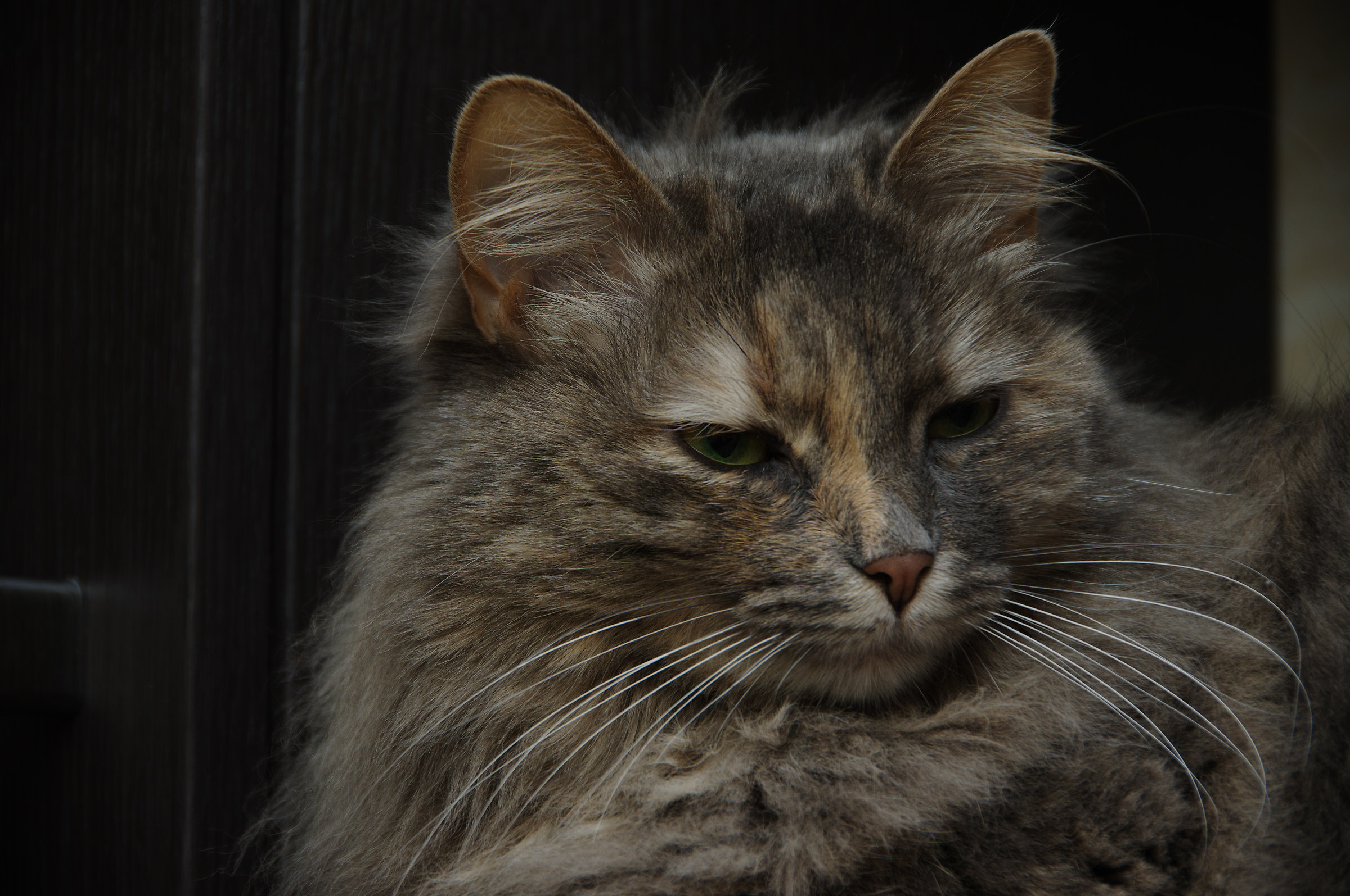 this morning are unpresentable