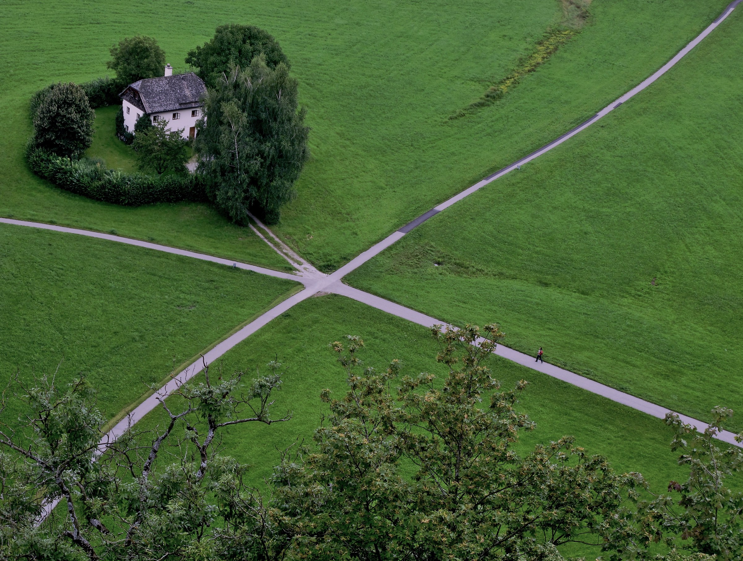 The opportunities of life