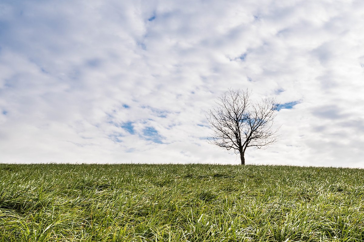 Solo..tra earth and sky