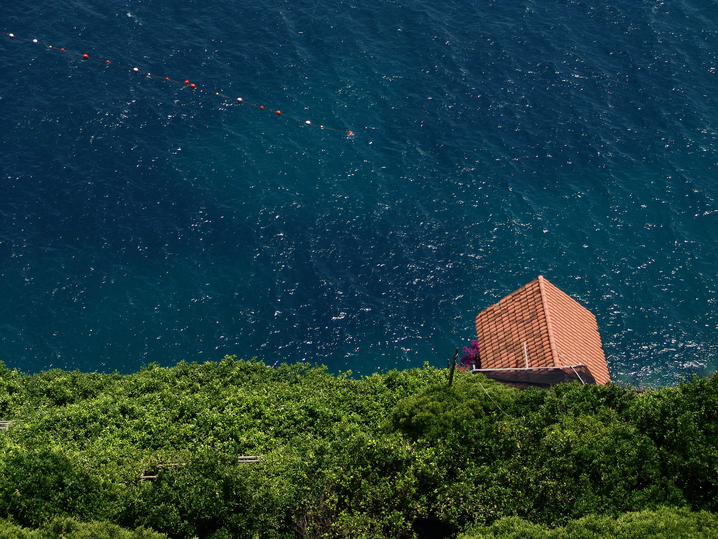 A roof sea