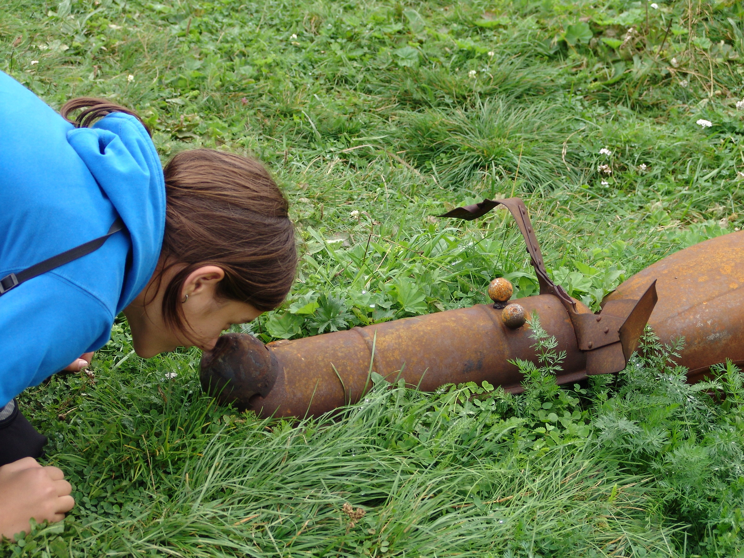 Dogs that bark do not bite