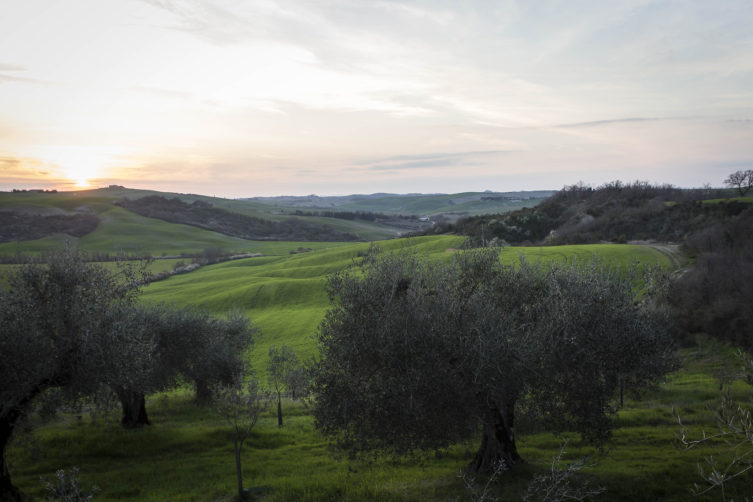 The beautiful Val D'Orcia