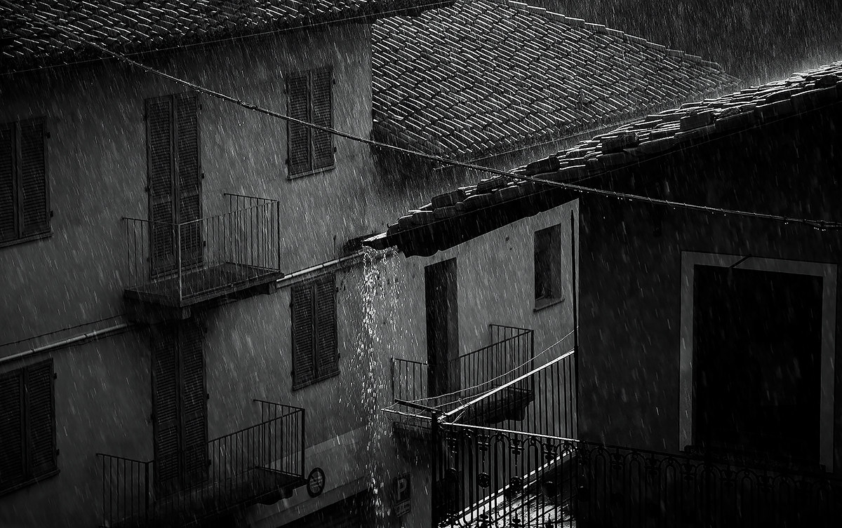 Raining cats and dogs