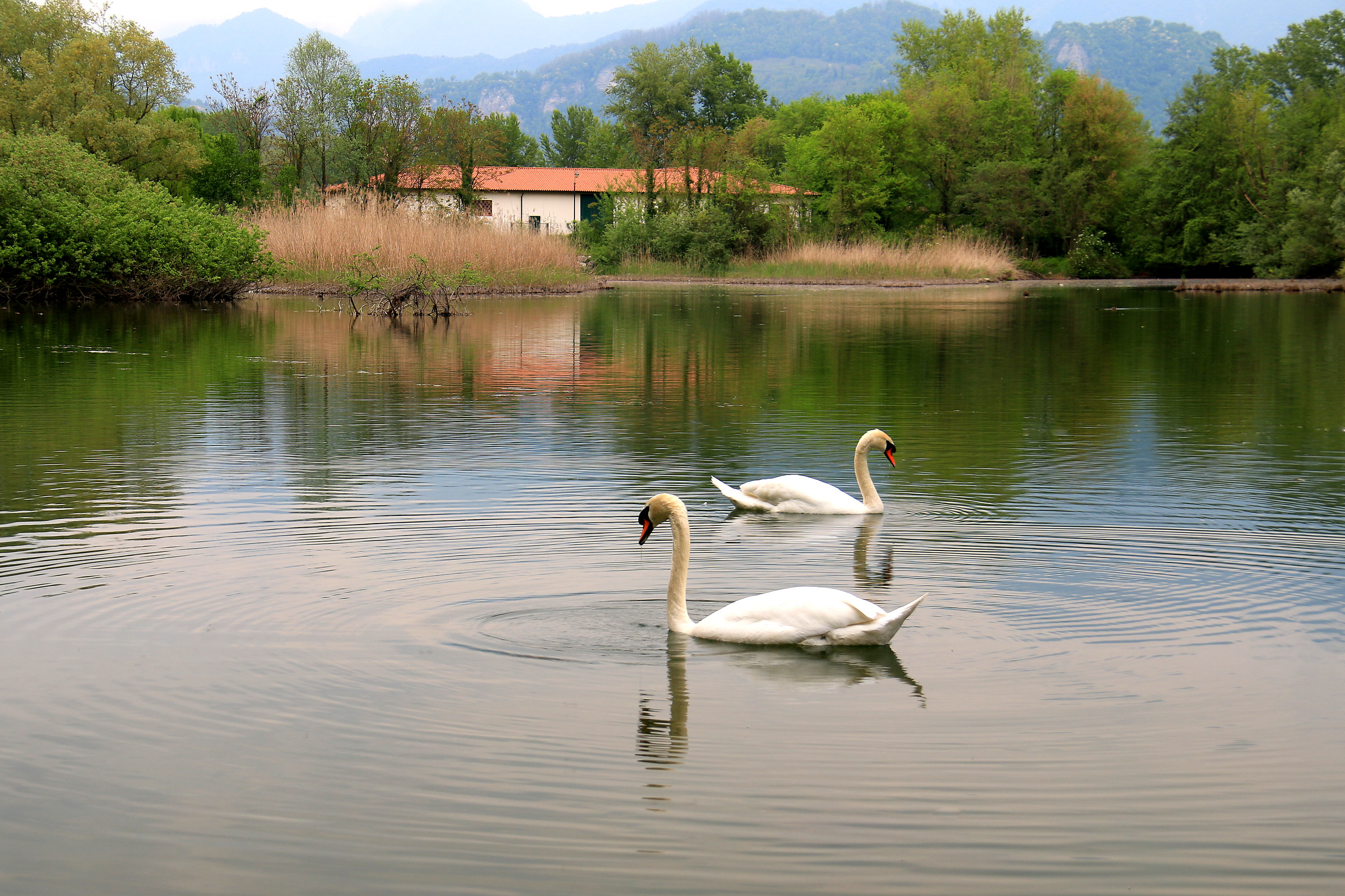 quiet afternoon sull'Adda