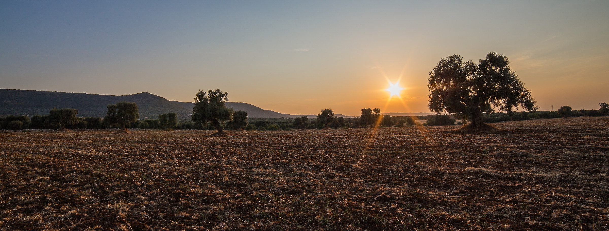 al centro della distesa