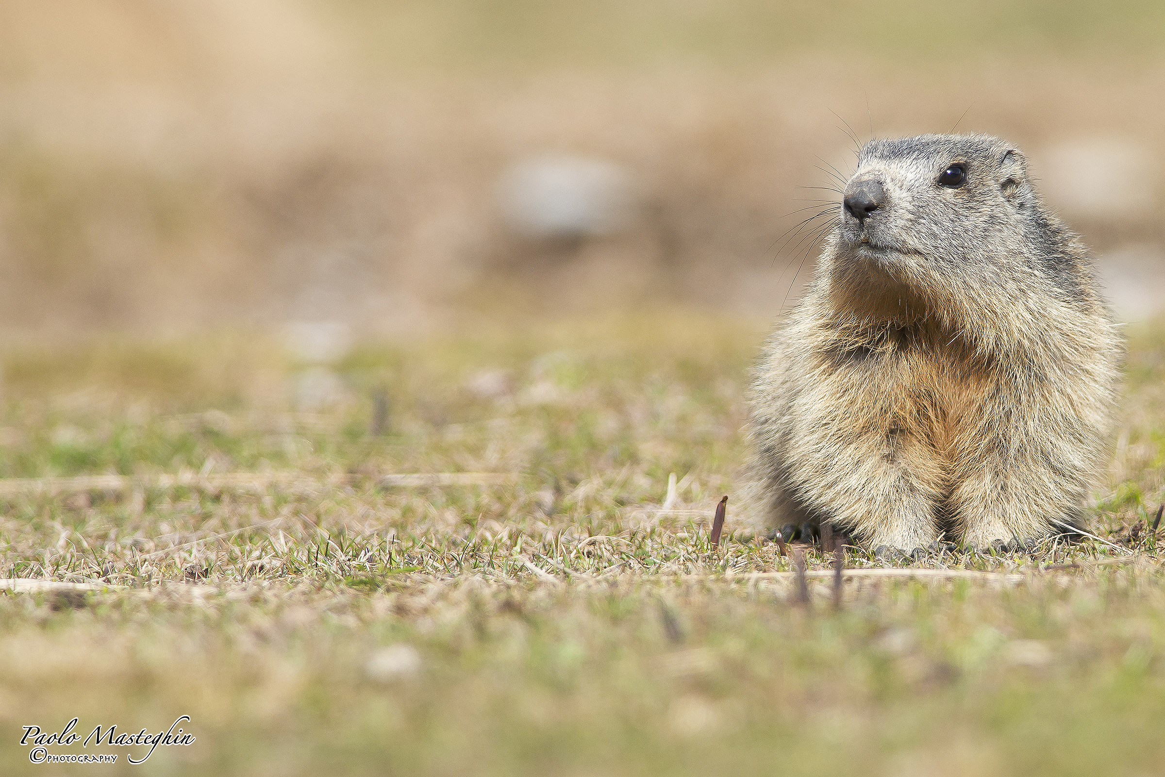 IUuuu anyone .. ?? '