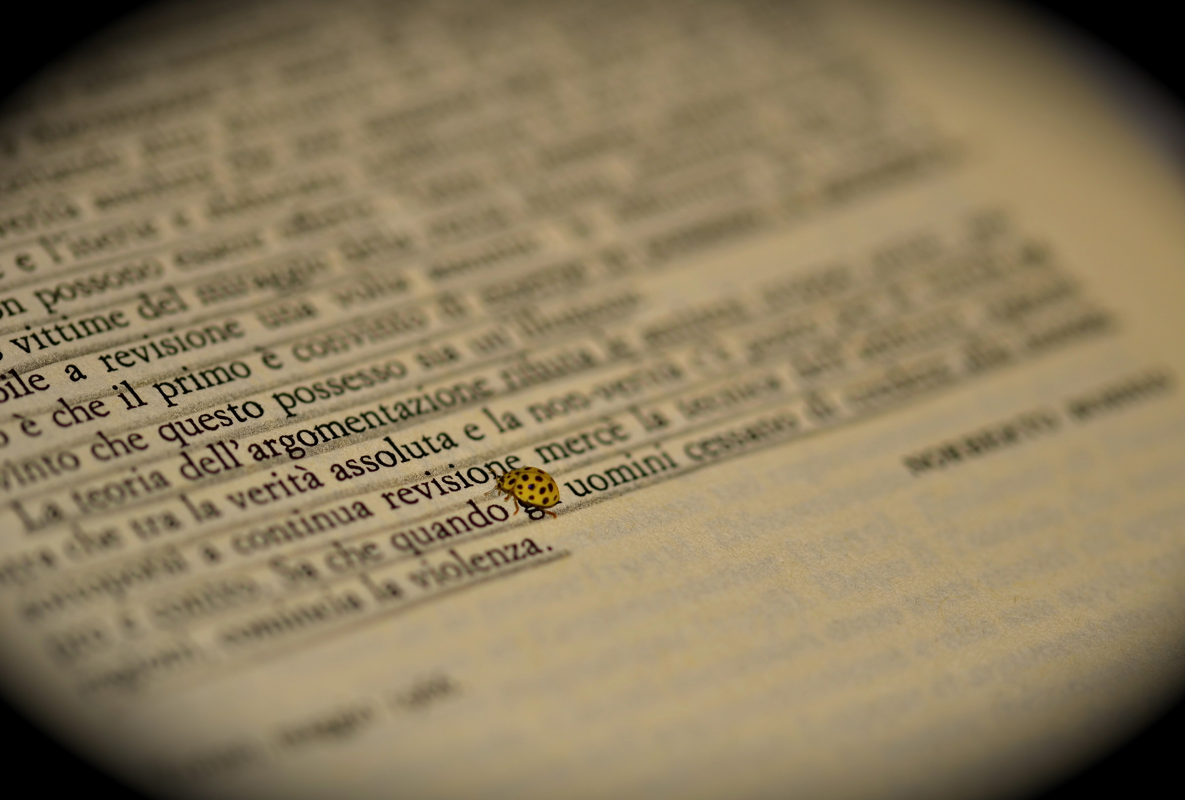 Better alone than maleacculturati