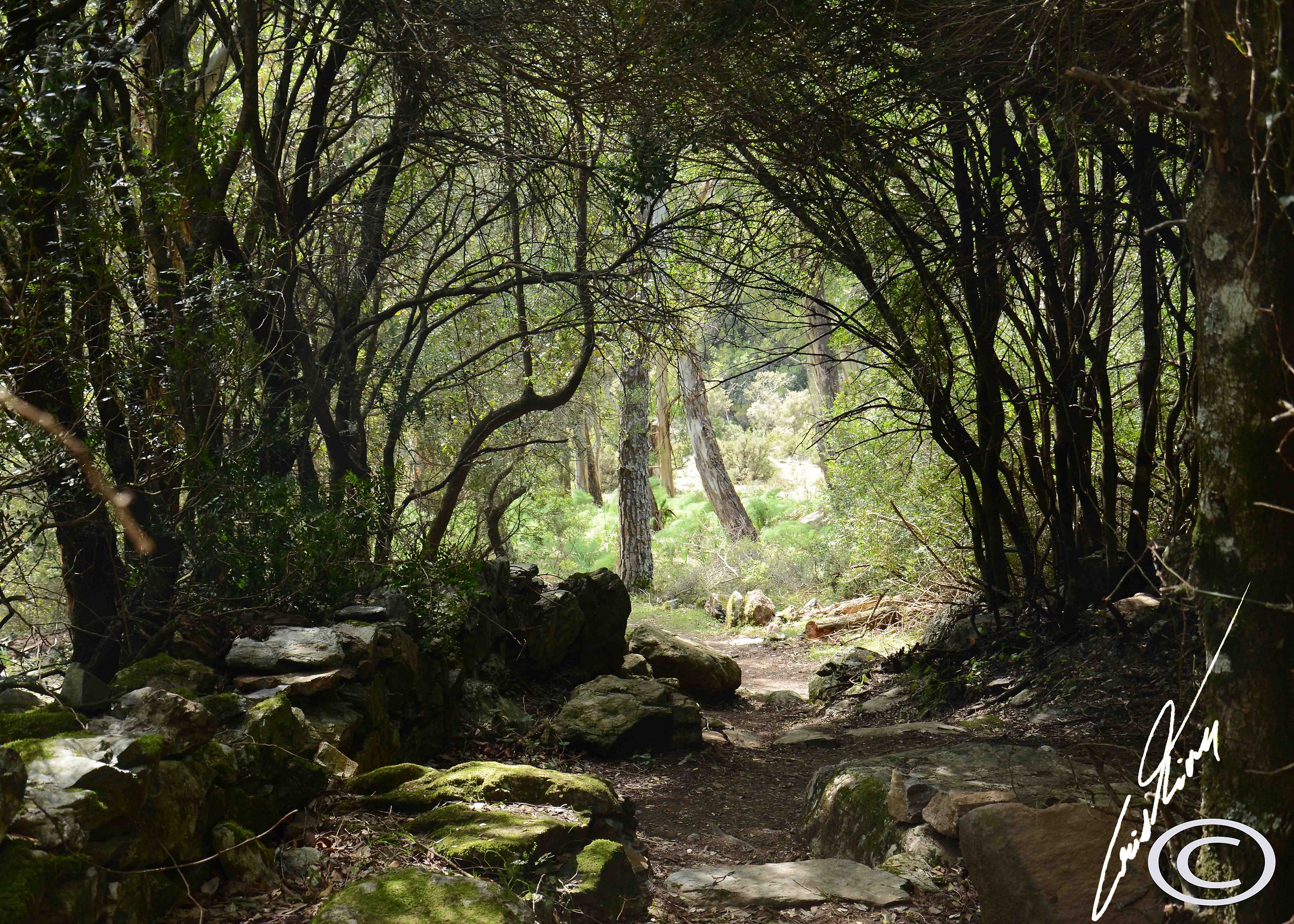 sentieristiaca efs Gairo