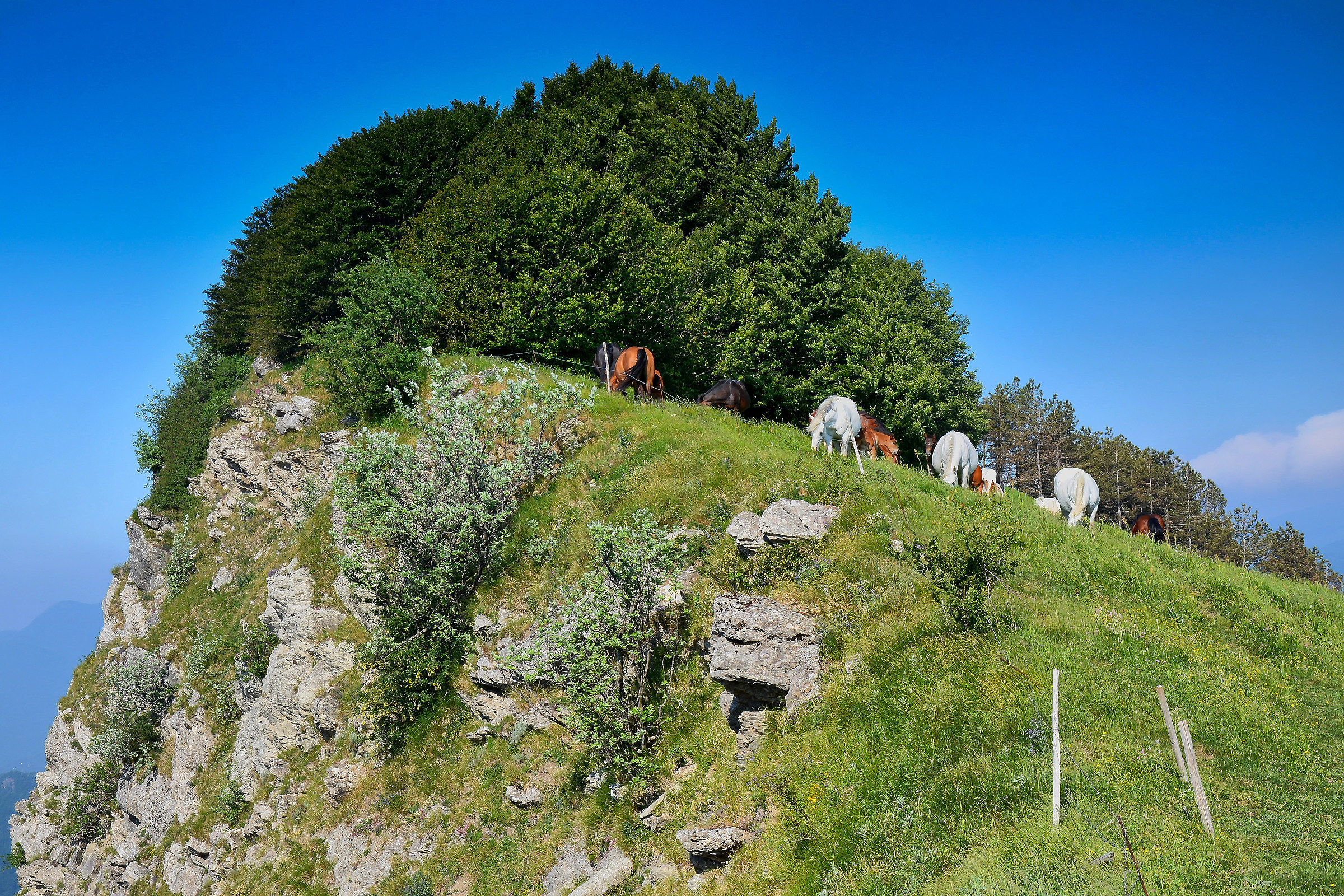 Sull'orlo del .............!!!!!!!!!!!