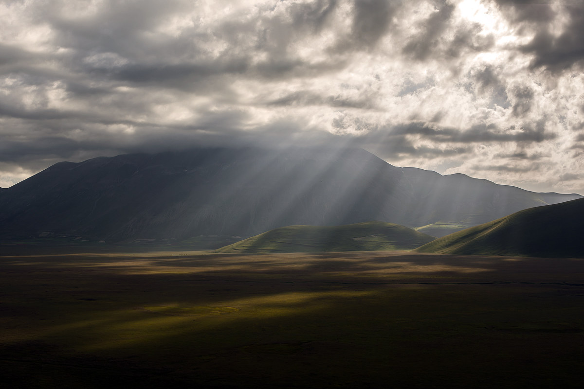 ... When the light ...