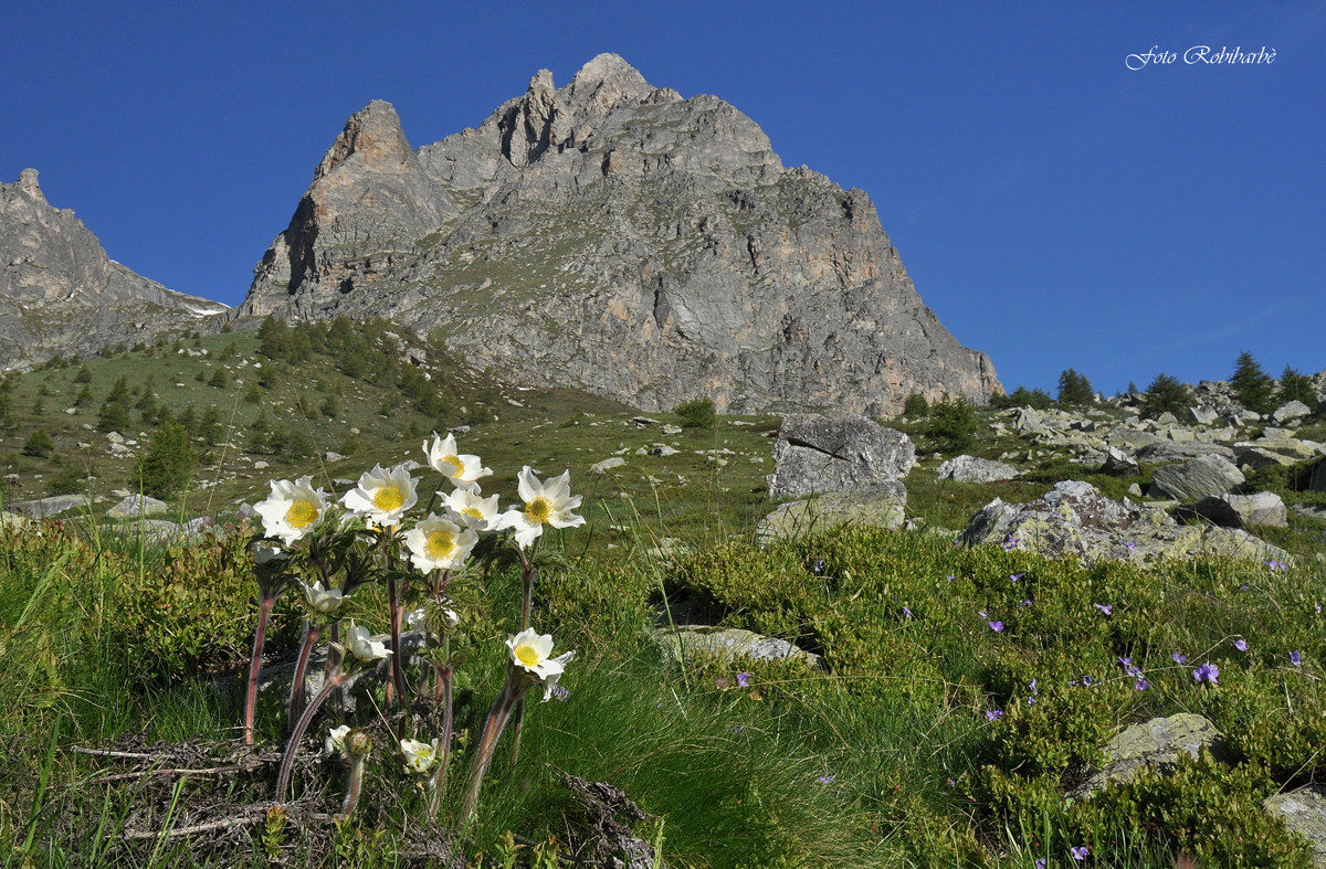 Ai piedi del Chersogno.....