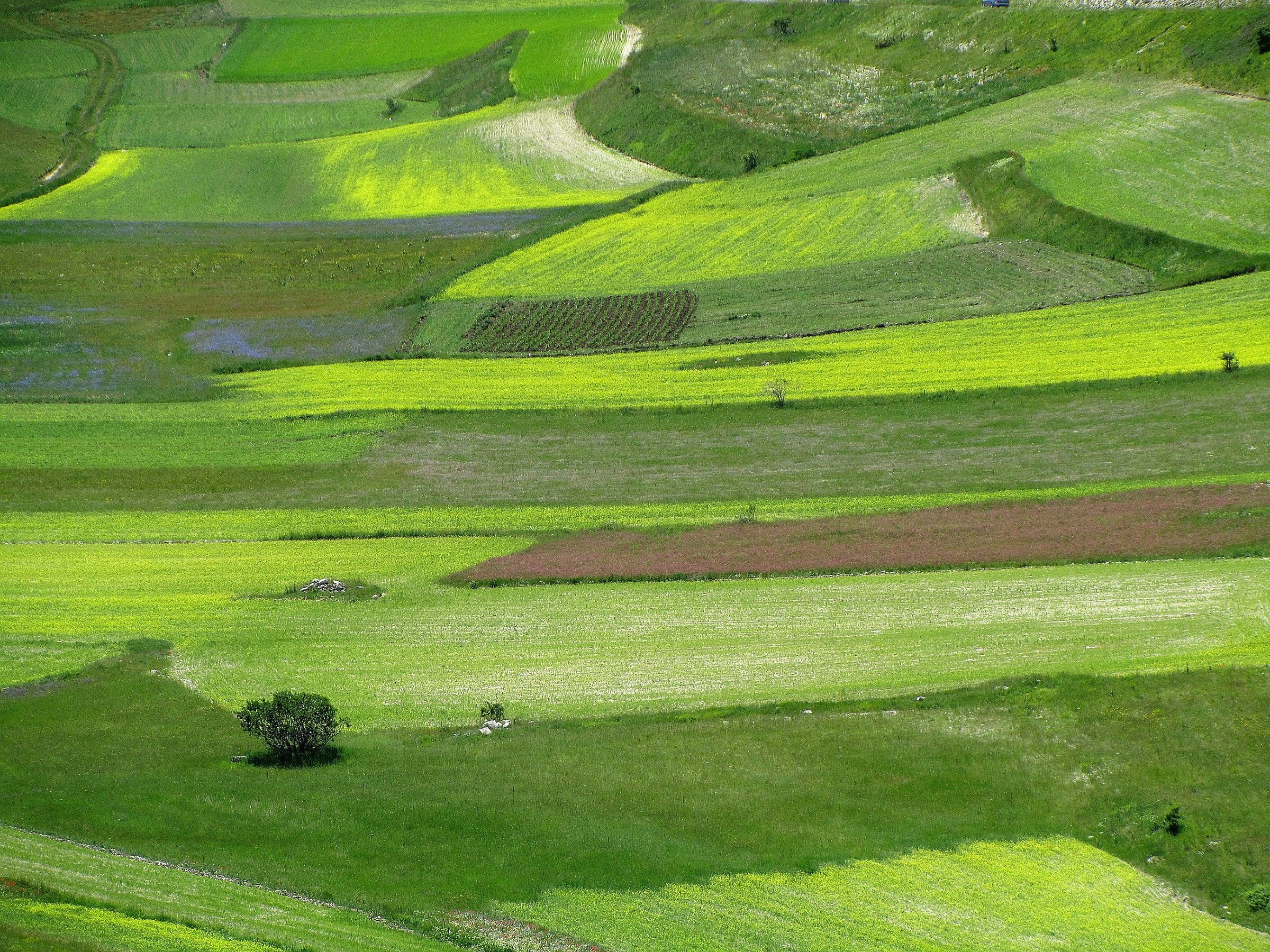 Castelluccio di Norcia