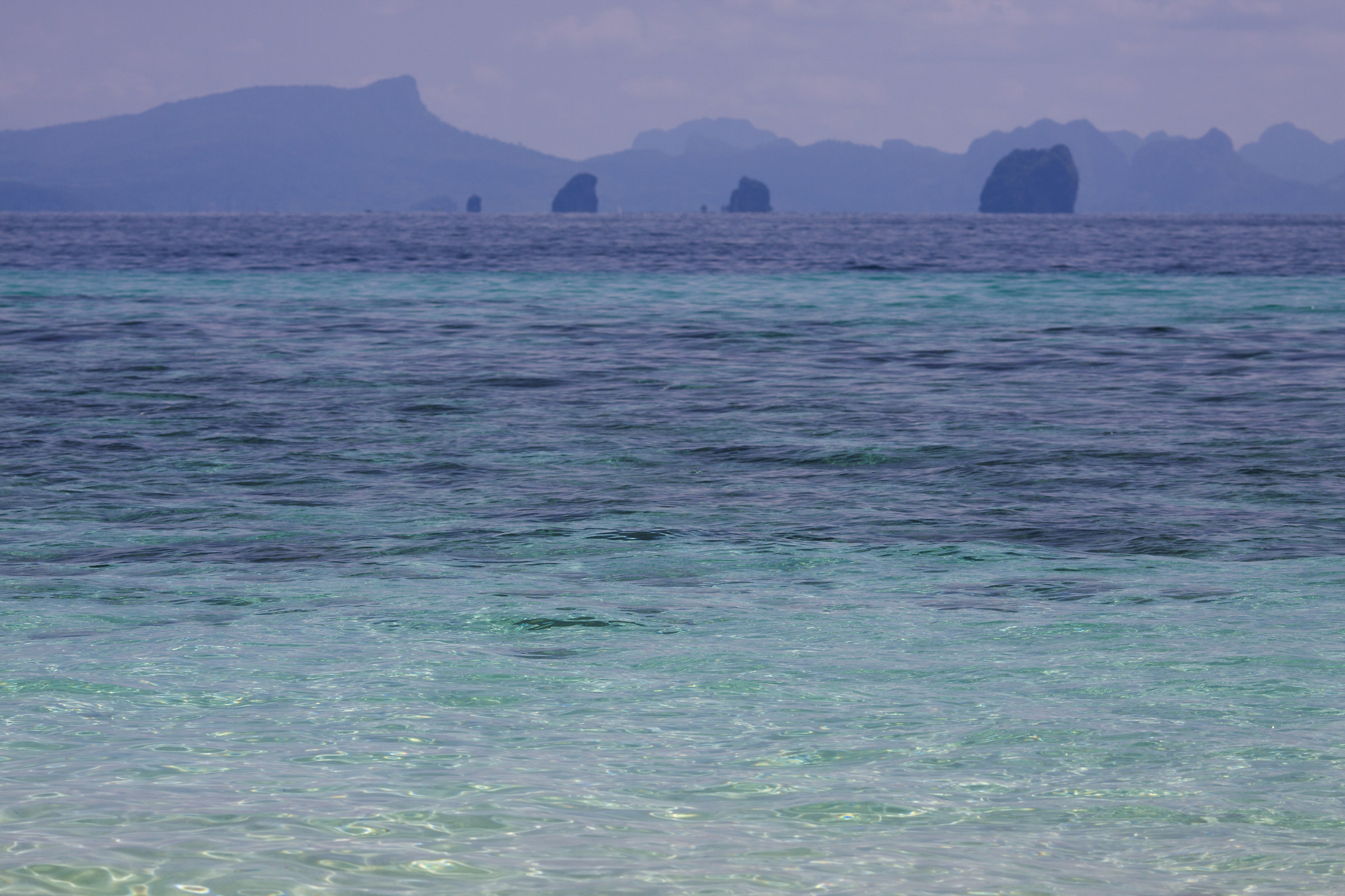 Phi Phi Islands