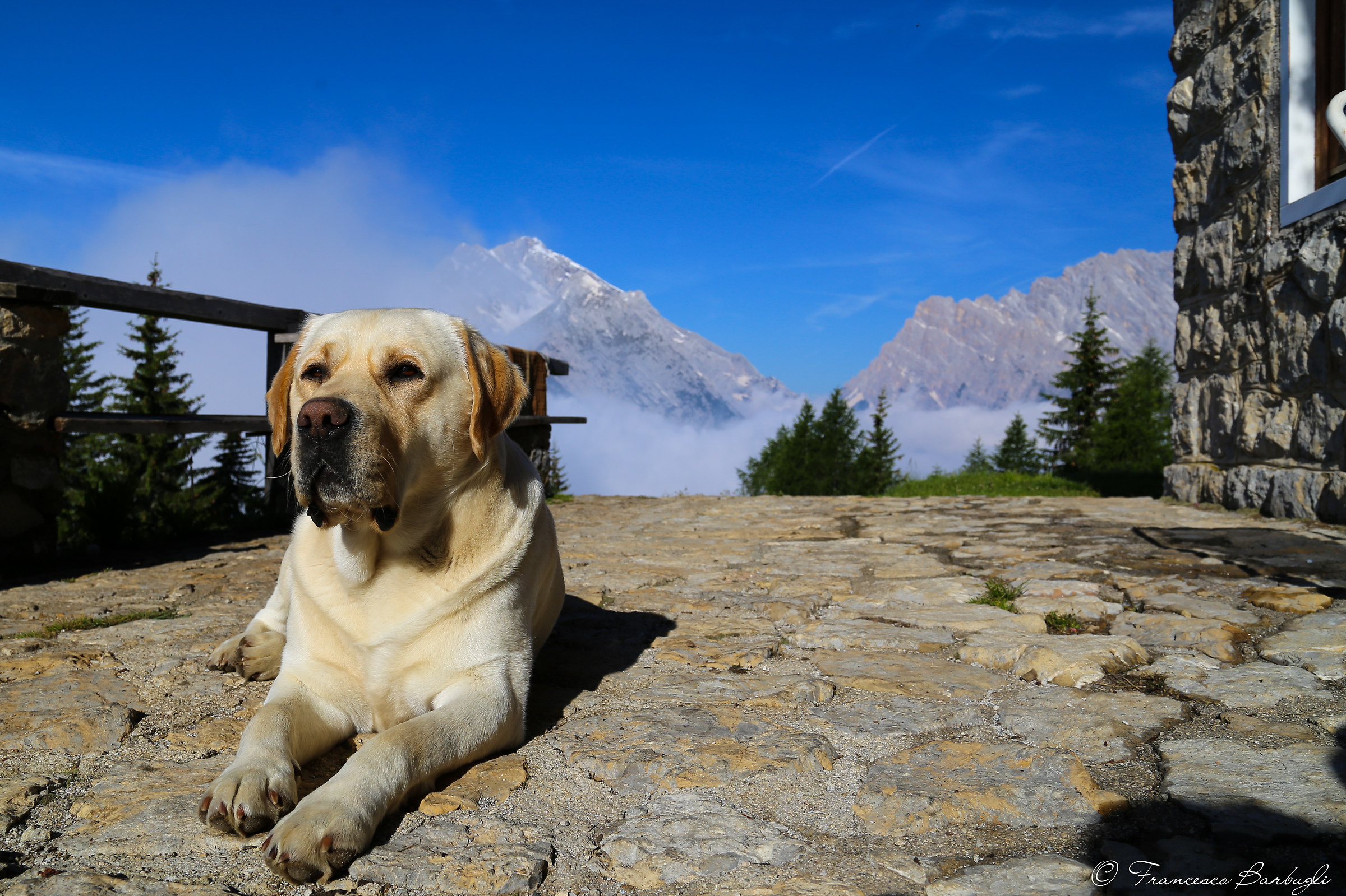 Jack and King of the Dolomites in the background