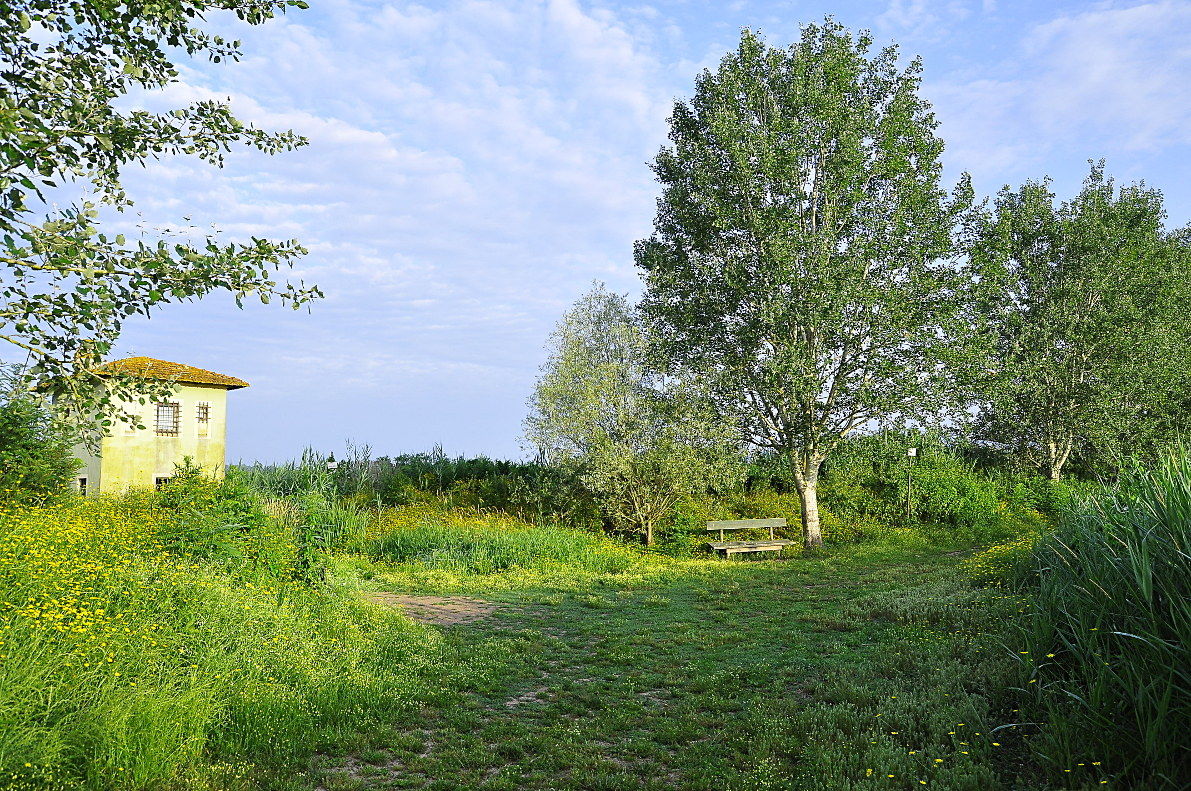 Morette osservatorio