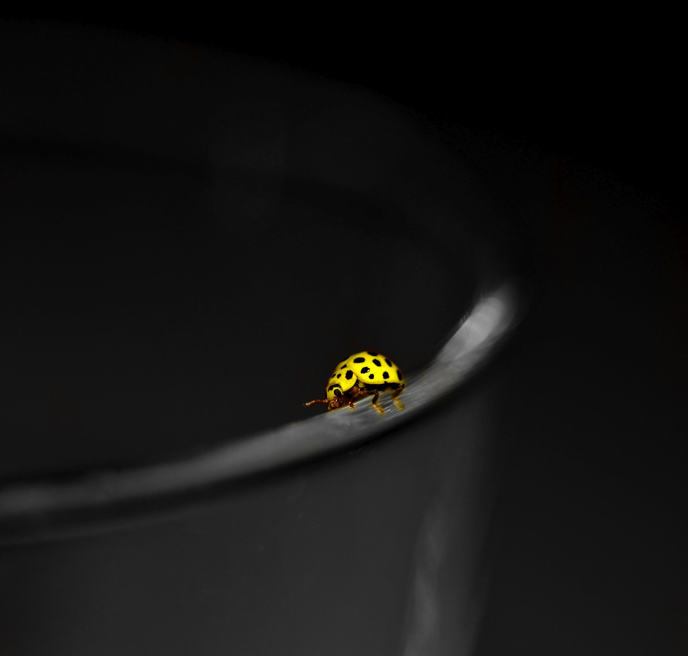 The glass half? Full