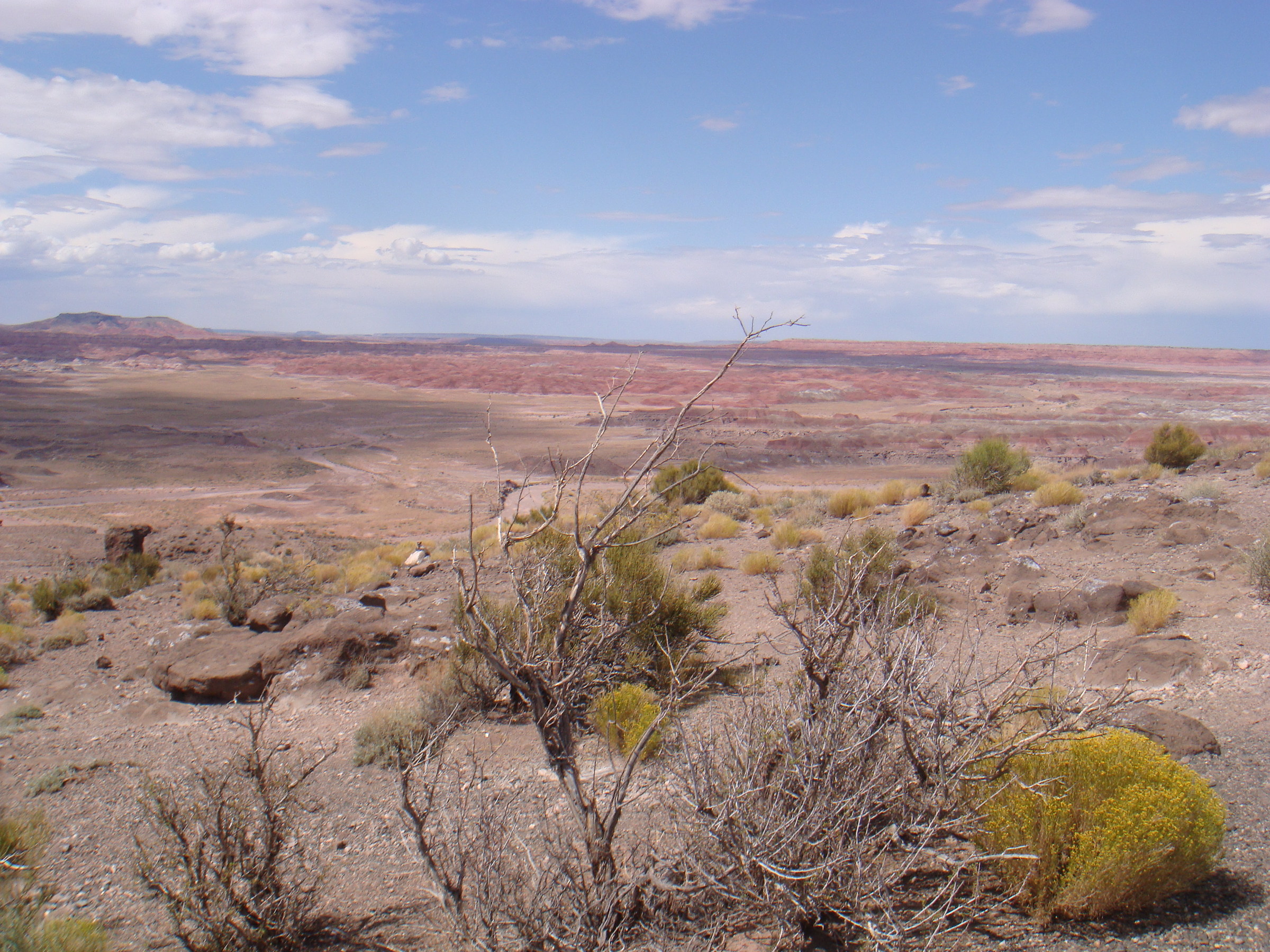 Painted desert