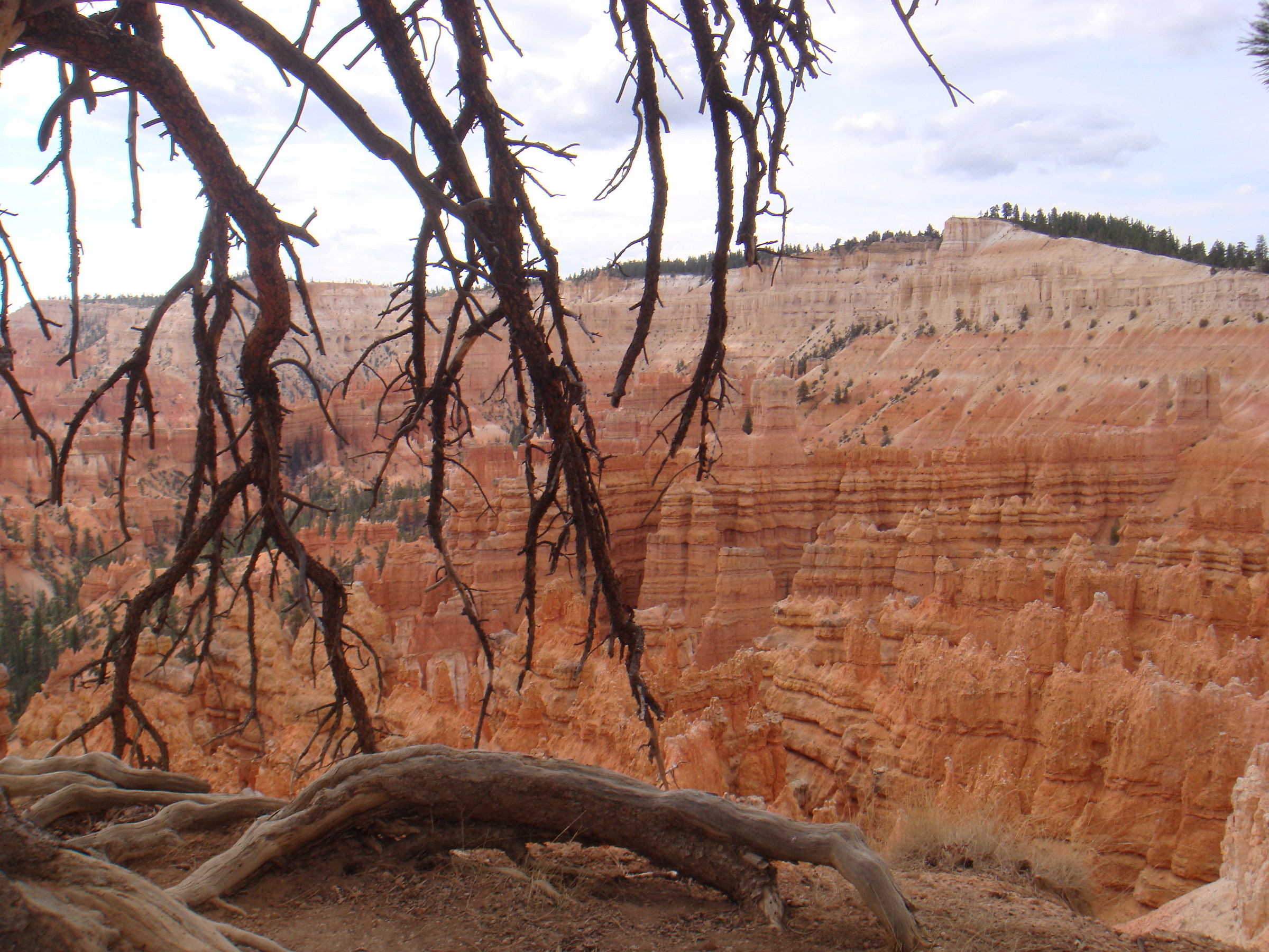 Bryce canyon 1