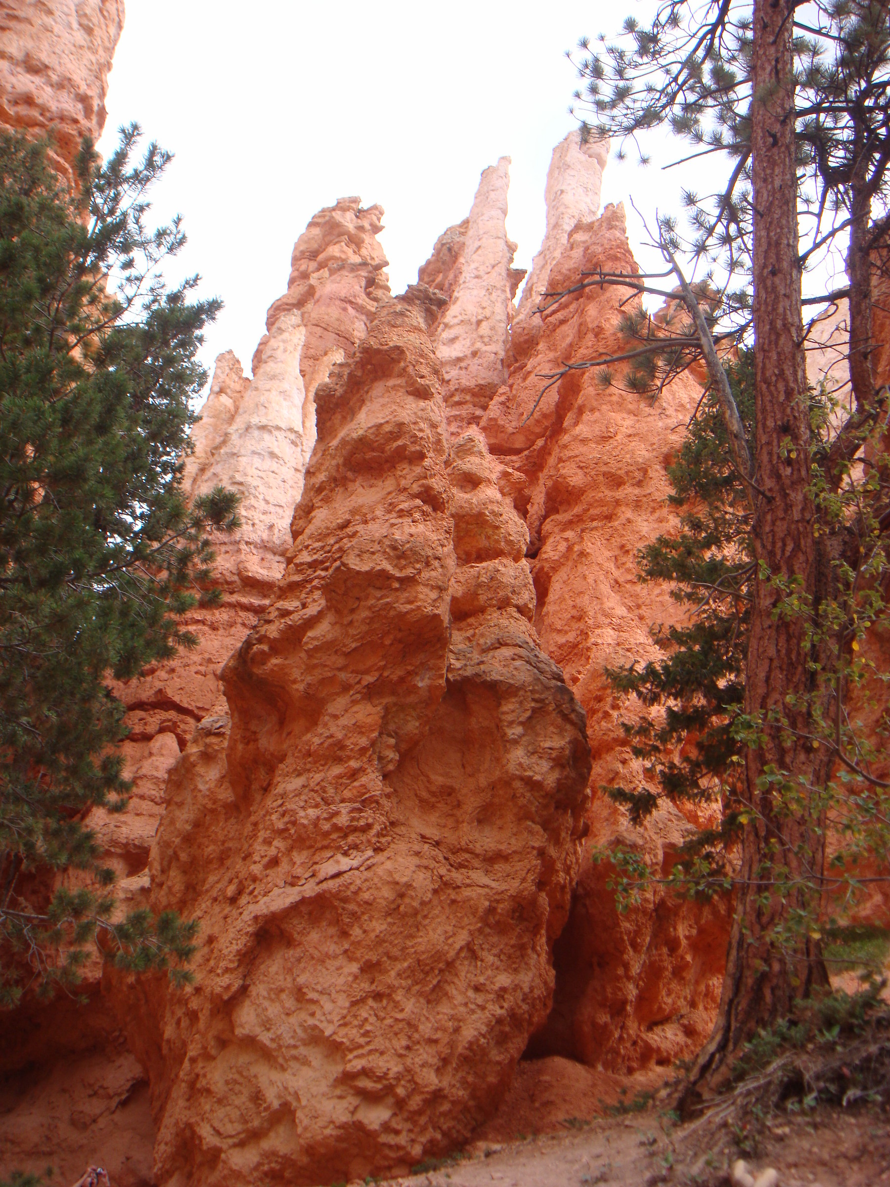 Bryce canyon 2