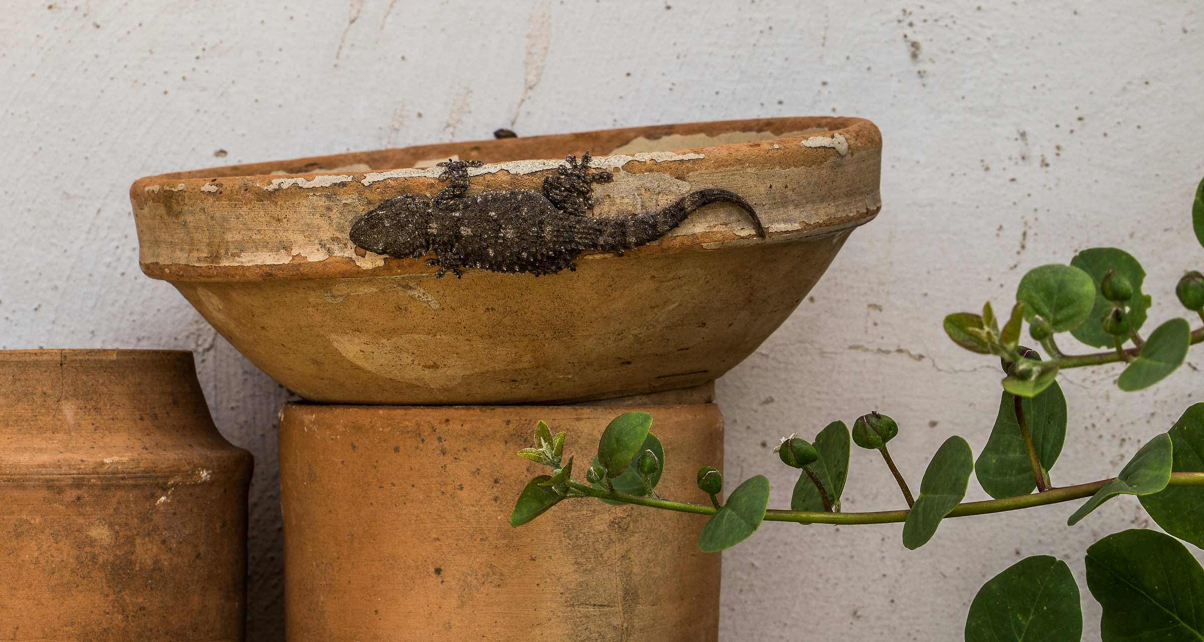 più veloce della luce