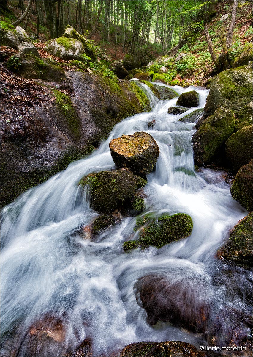 A stroll from the source