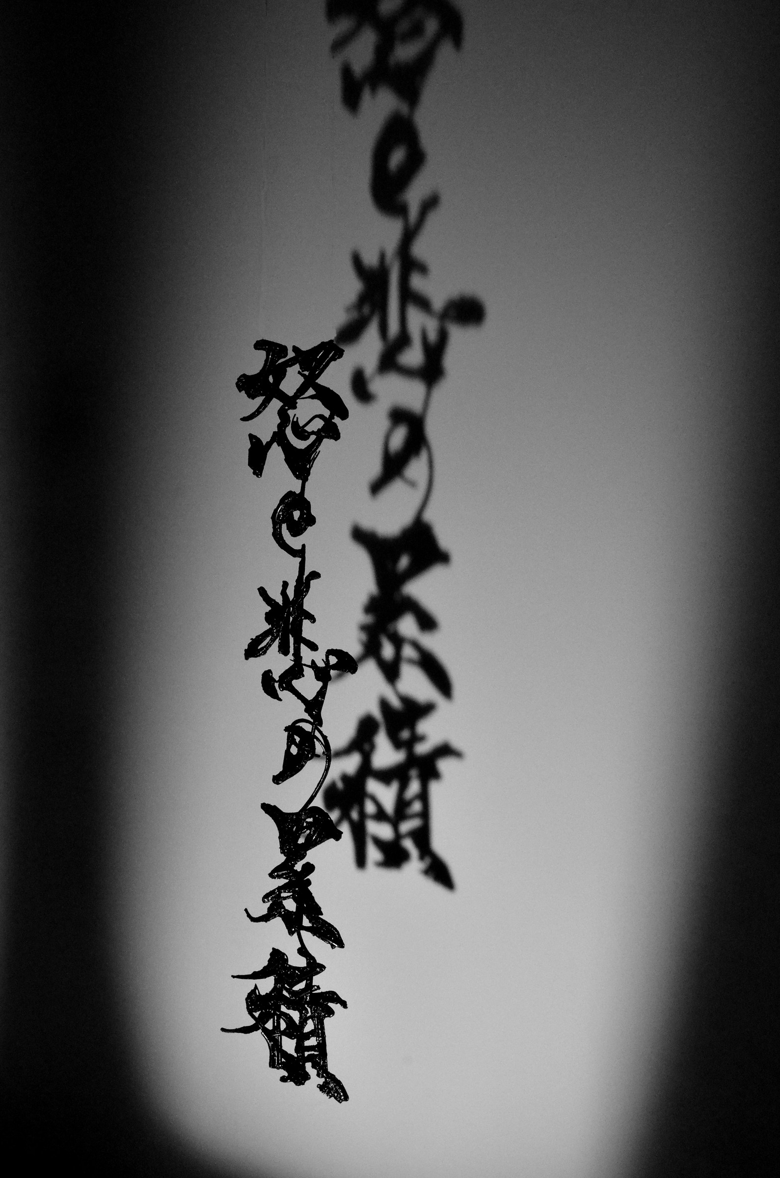 Expo Geometries Fifth