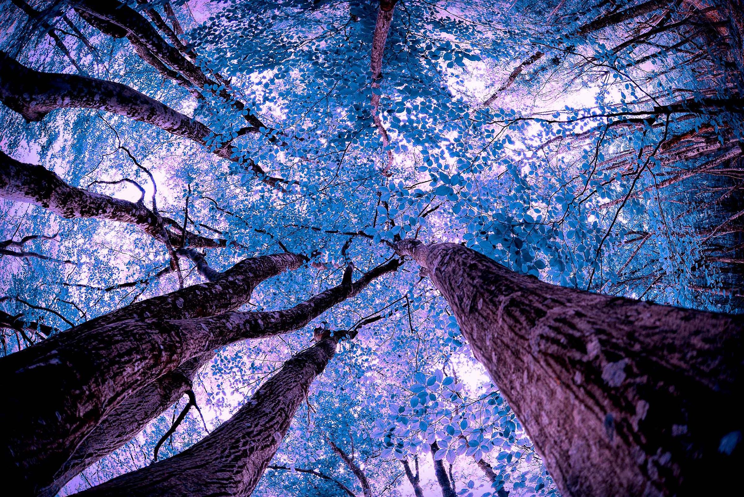 Natura in Tecnicolor