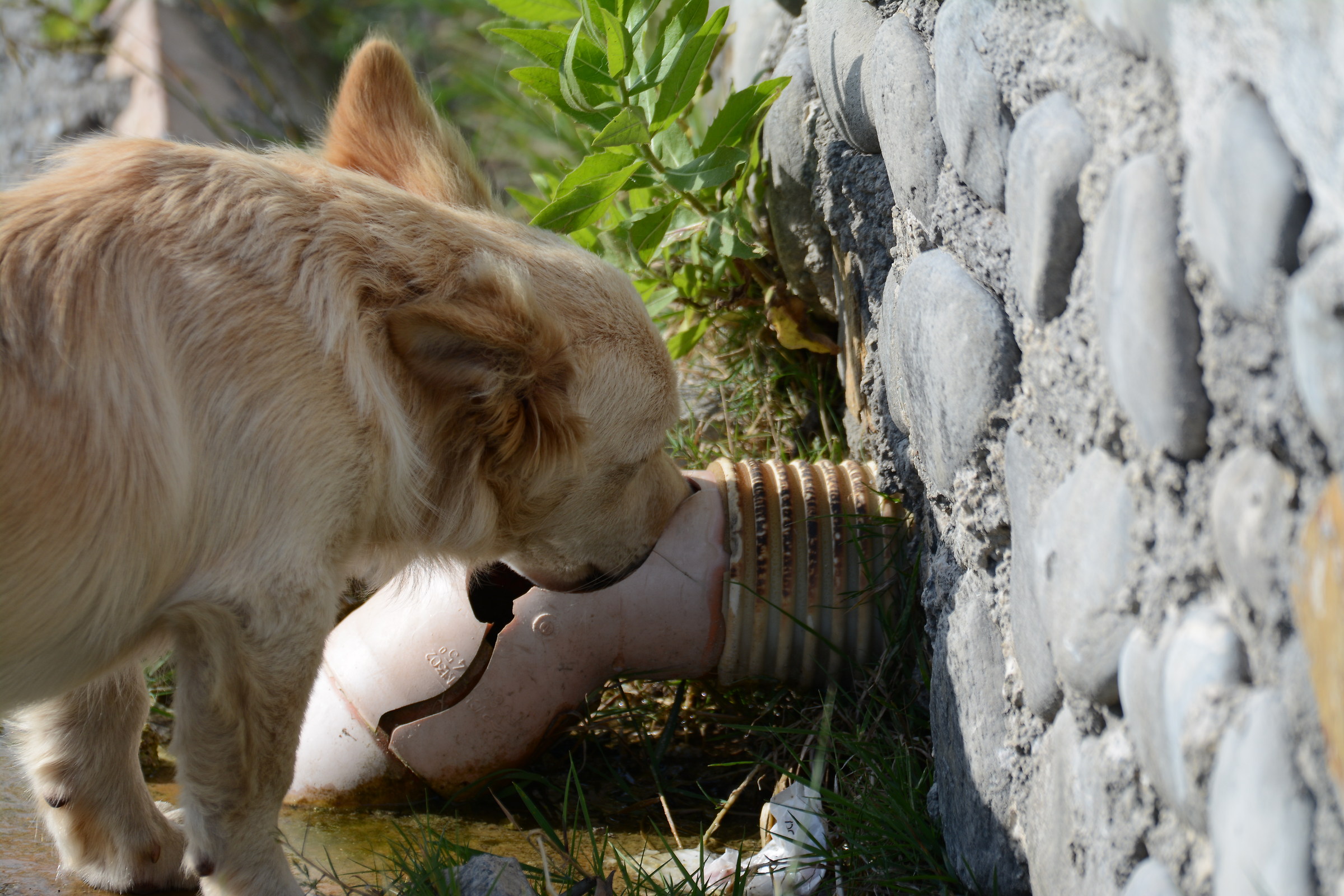 mamma mia che sete!!!