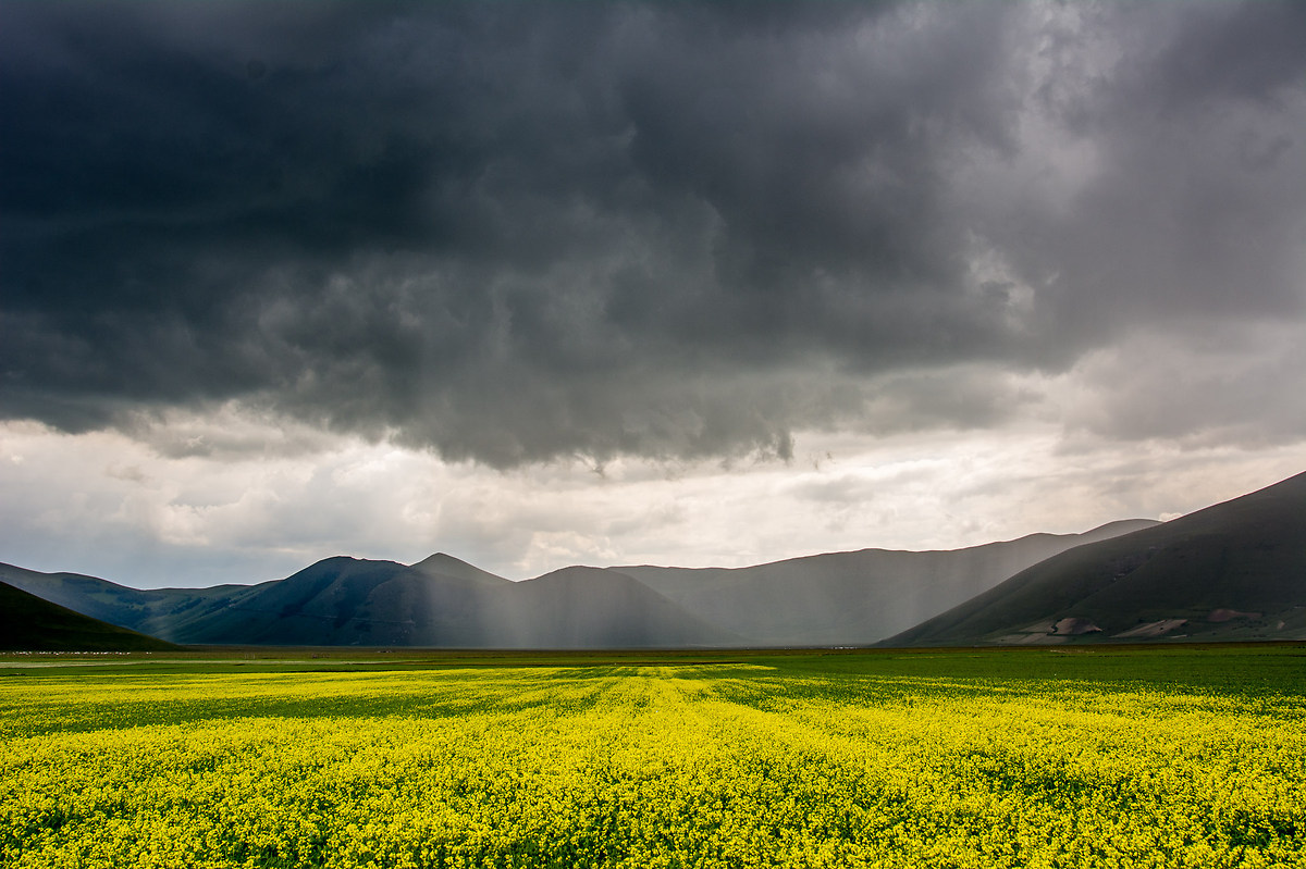 The first fruits of Castellucio