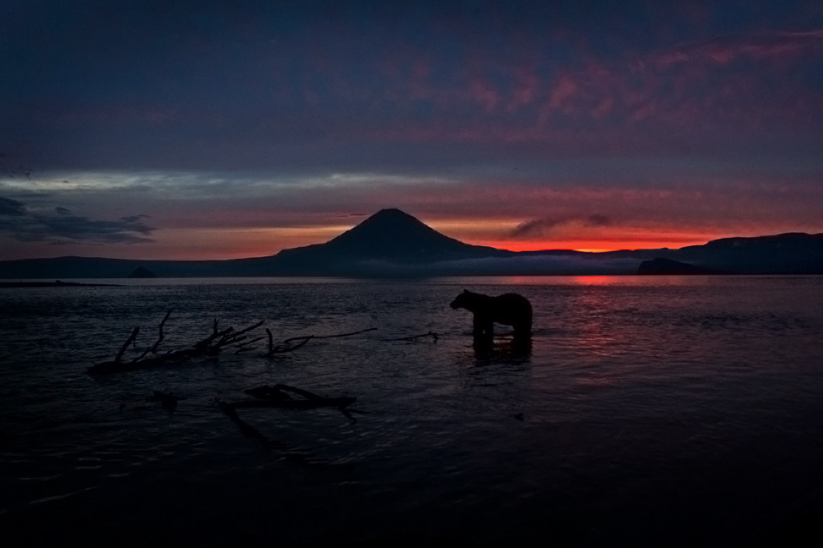 Dreaming Kamchatka