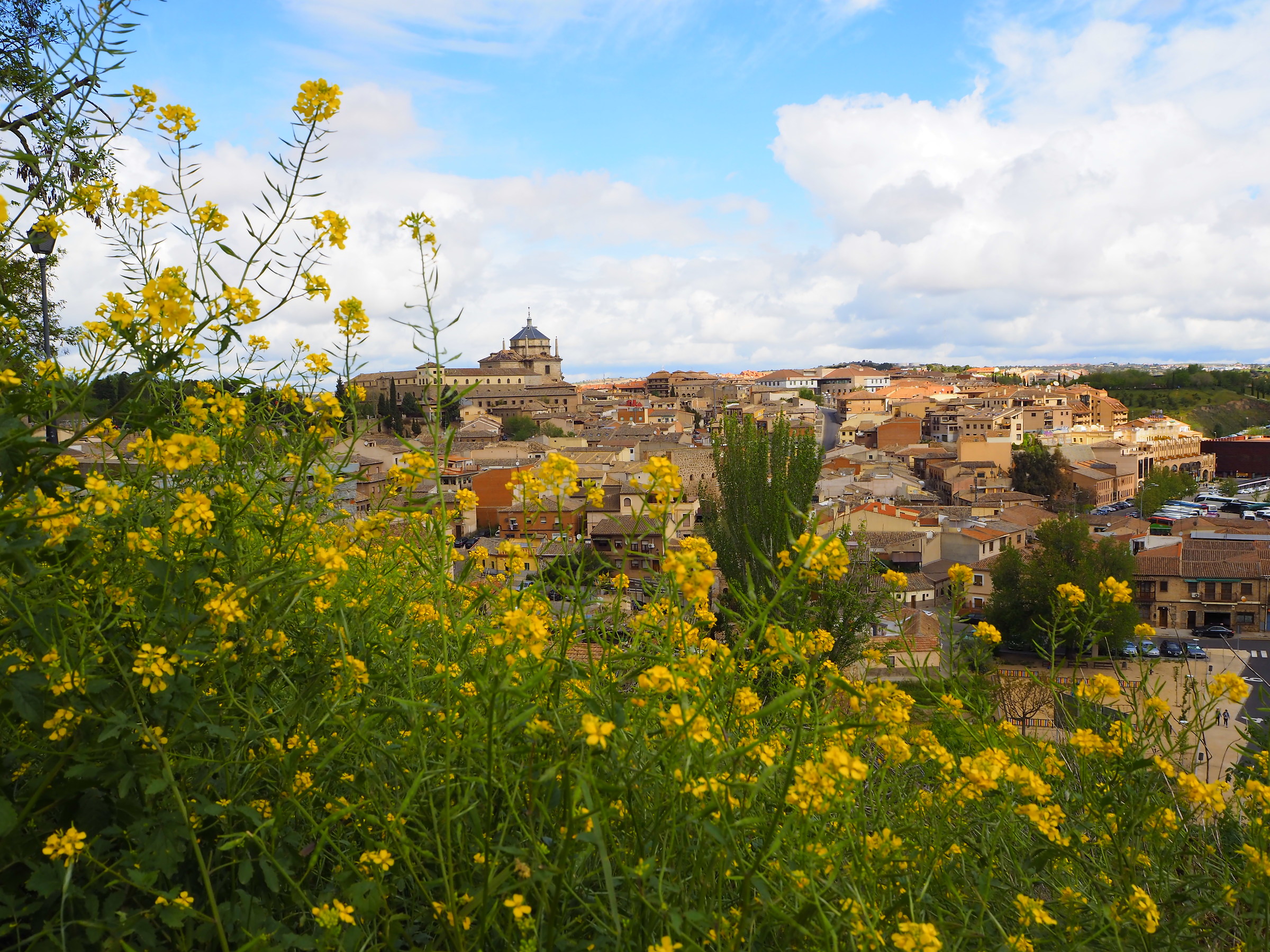 toledo