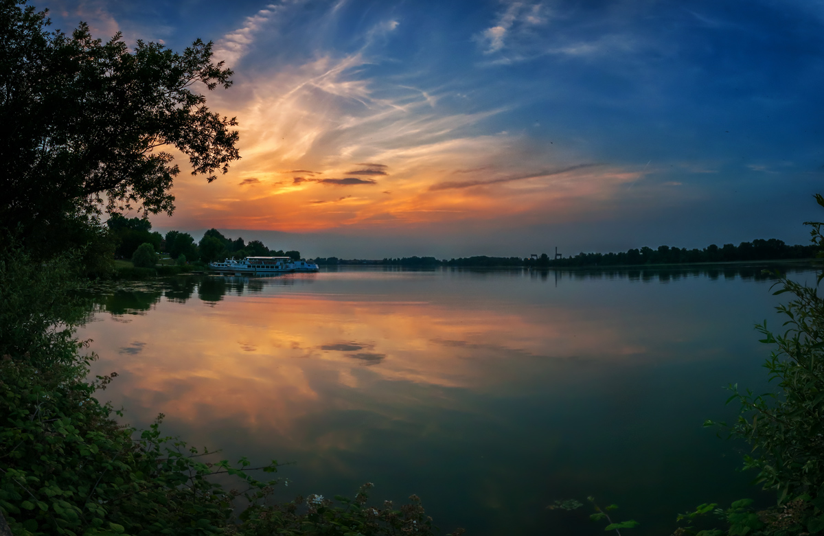 Cosa c'è oltre le piante?...un tramonto!