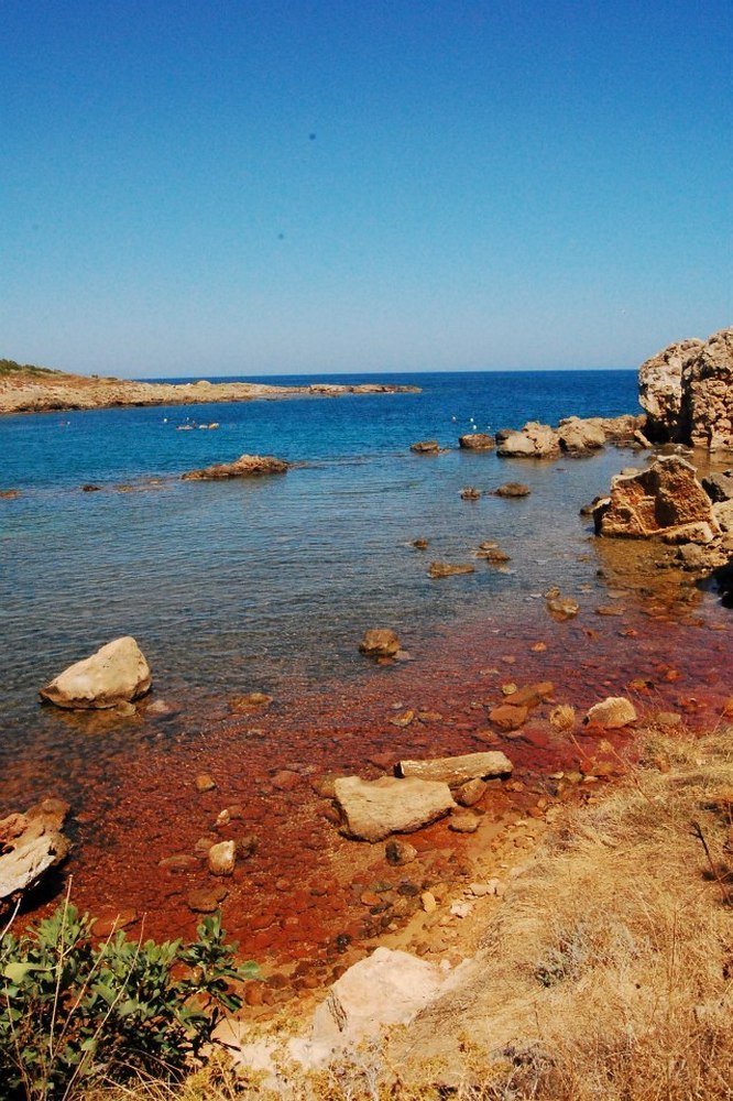 Multicolore Creta