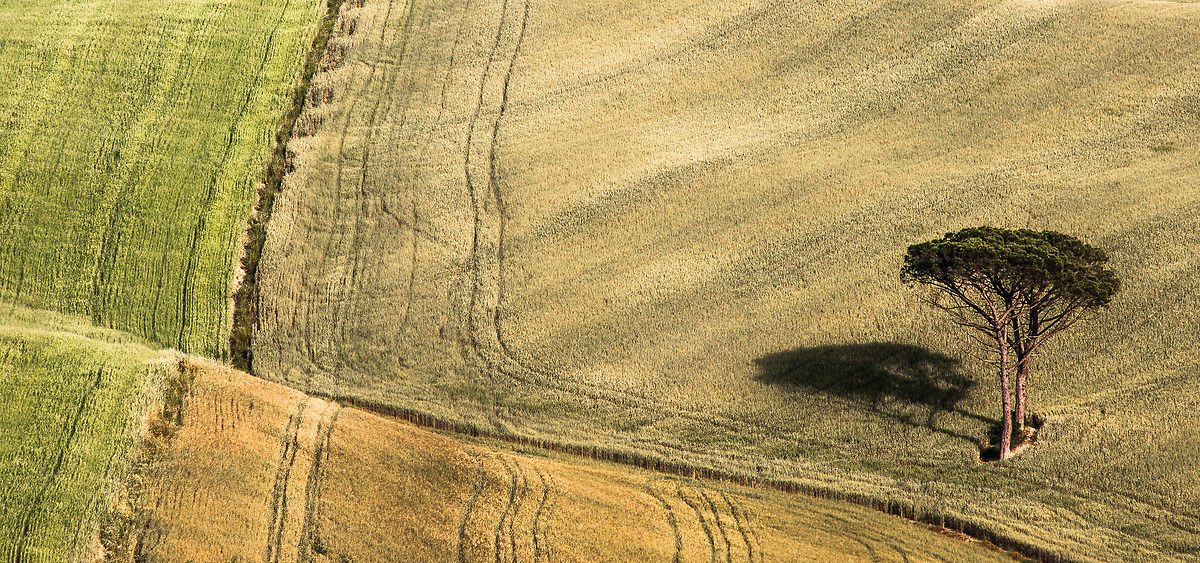 A life in the middle of the field ...