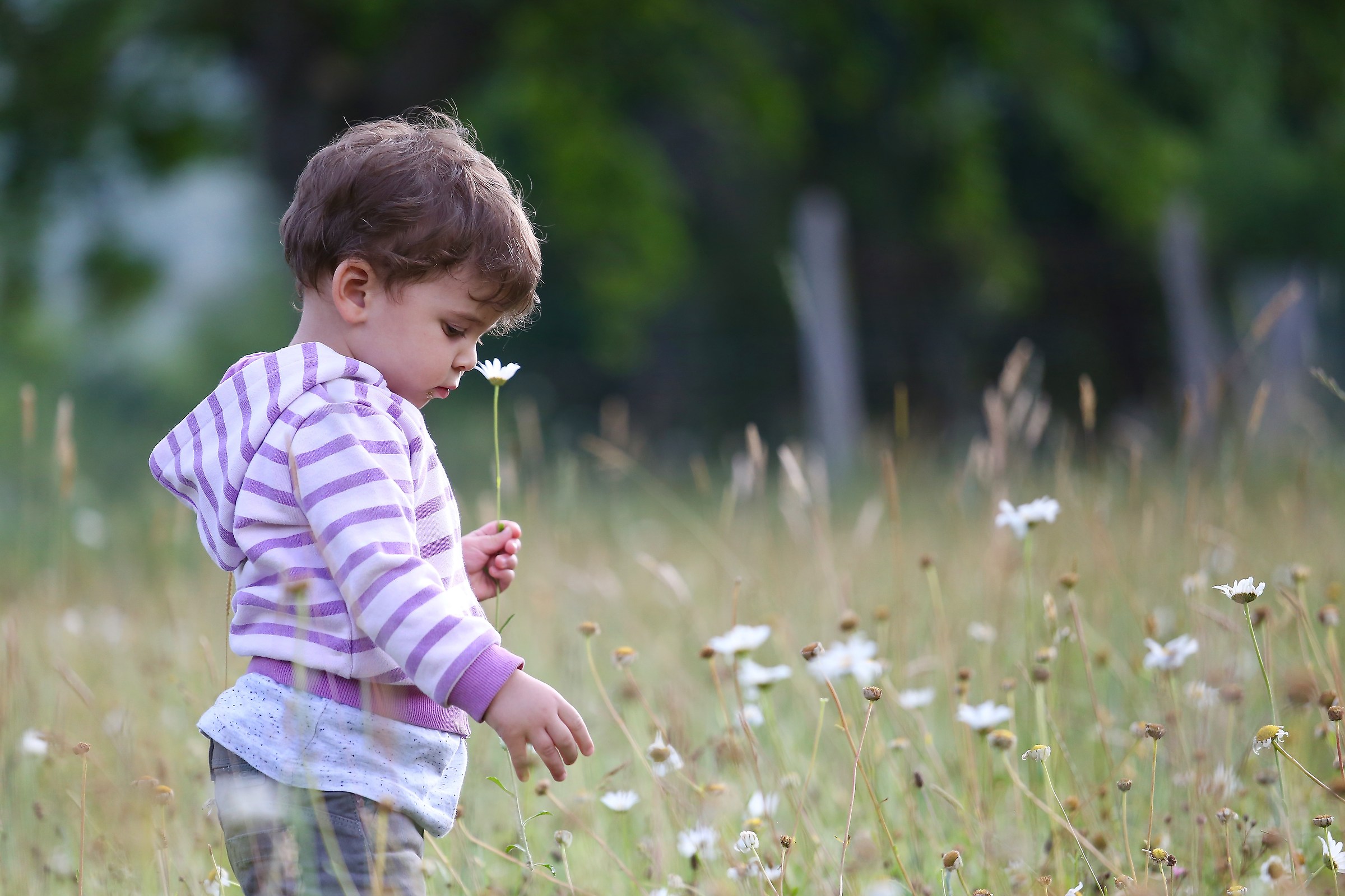 dreams of a little girl