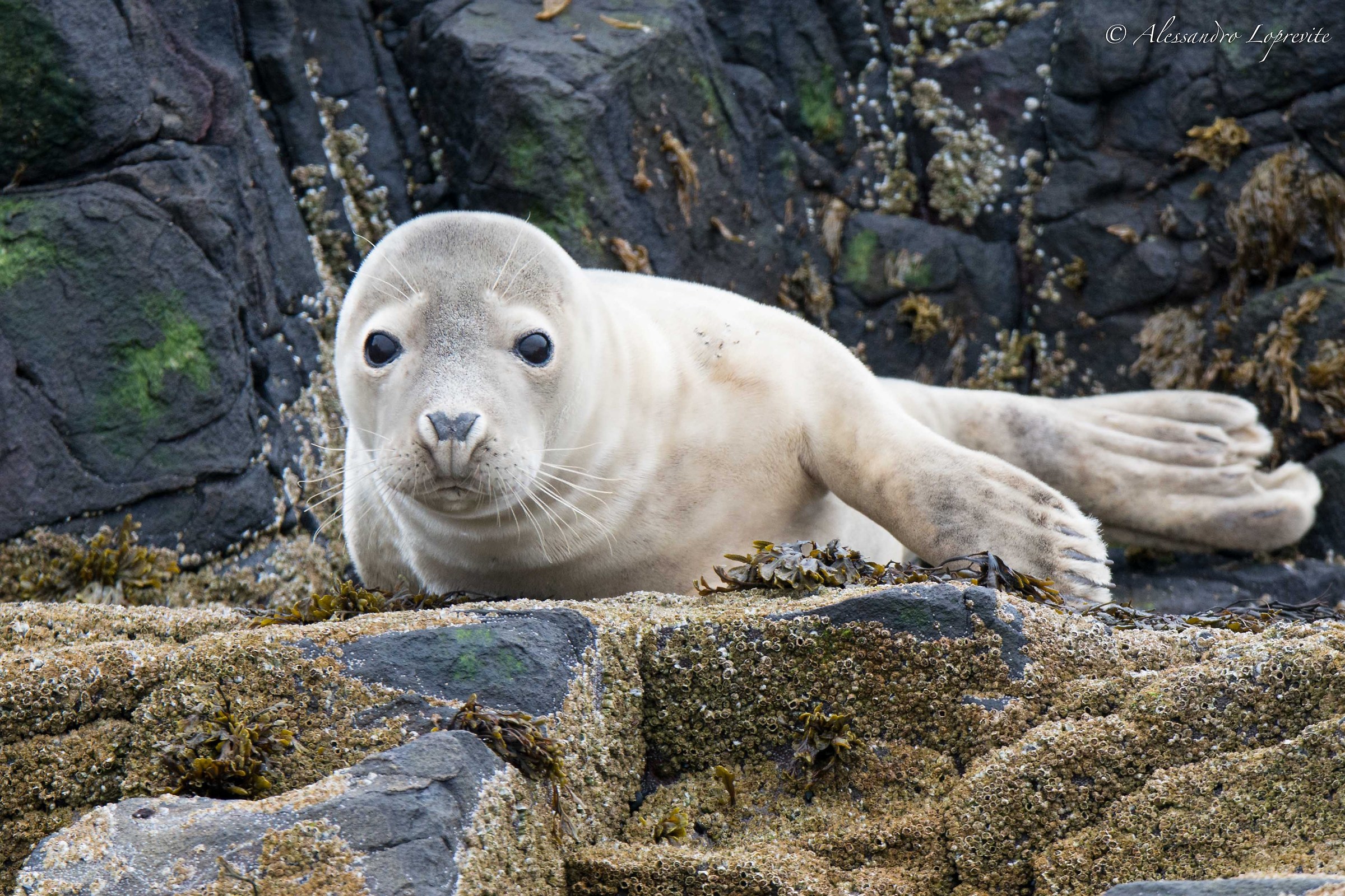 First meeting to Farne
