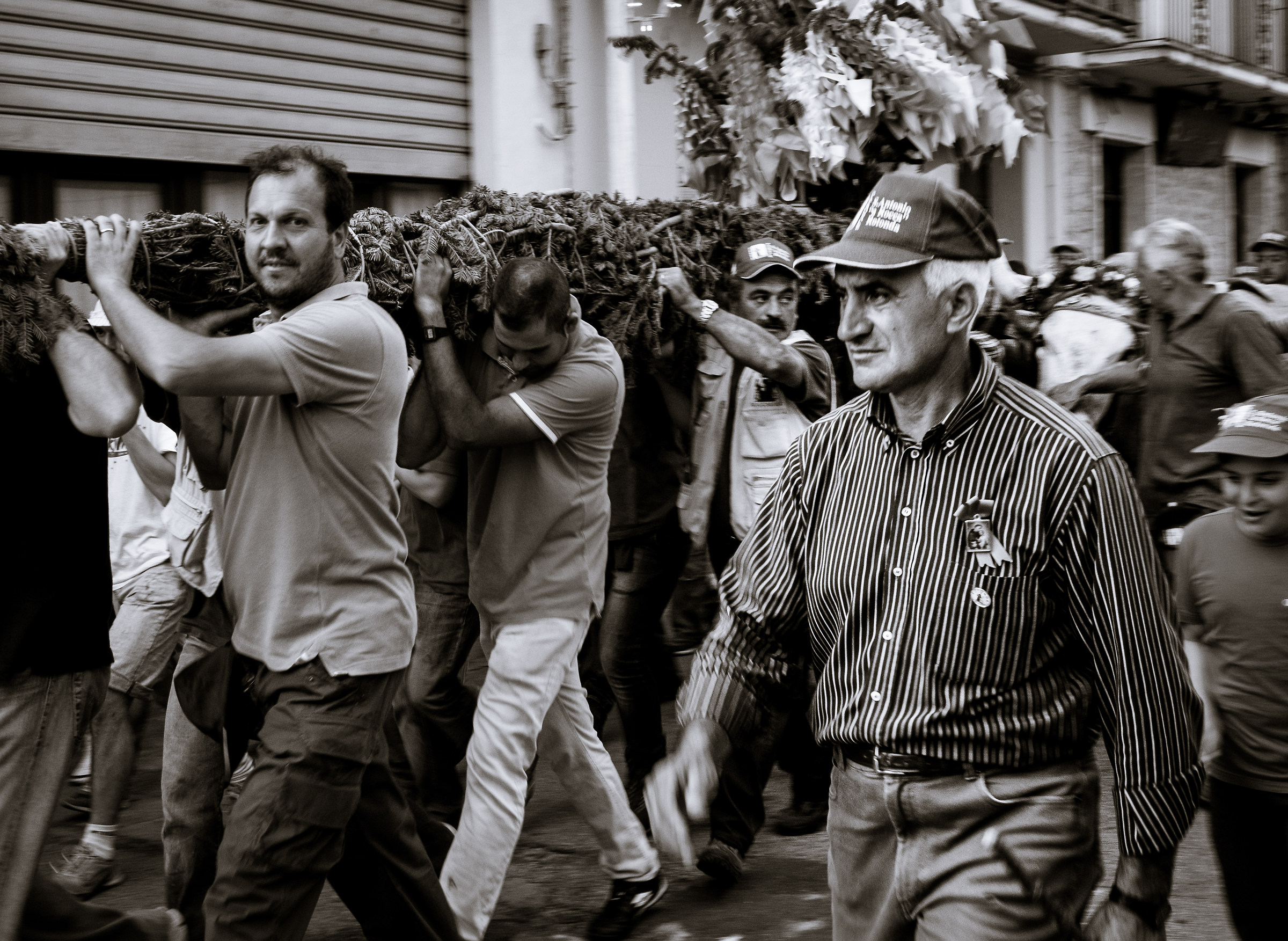 riti arborei del Pollino