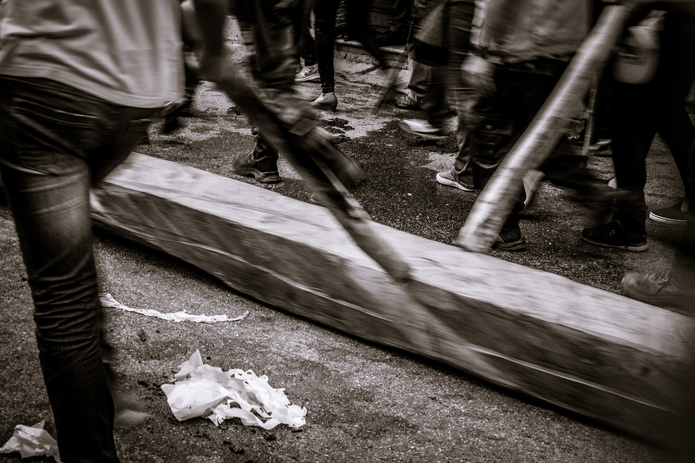 riti arborei del Pollino