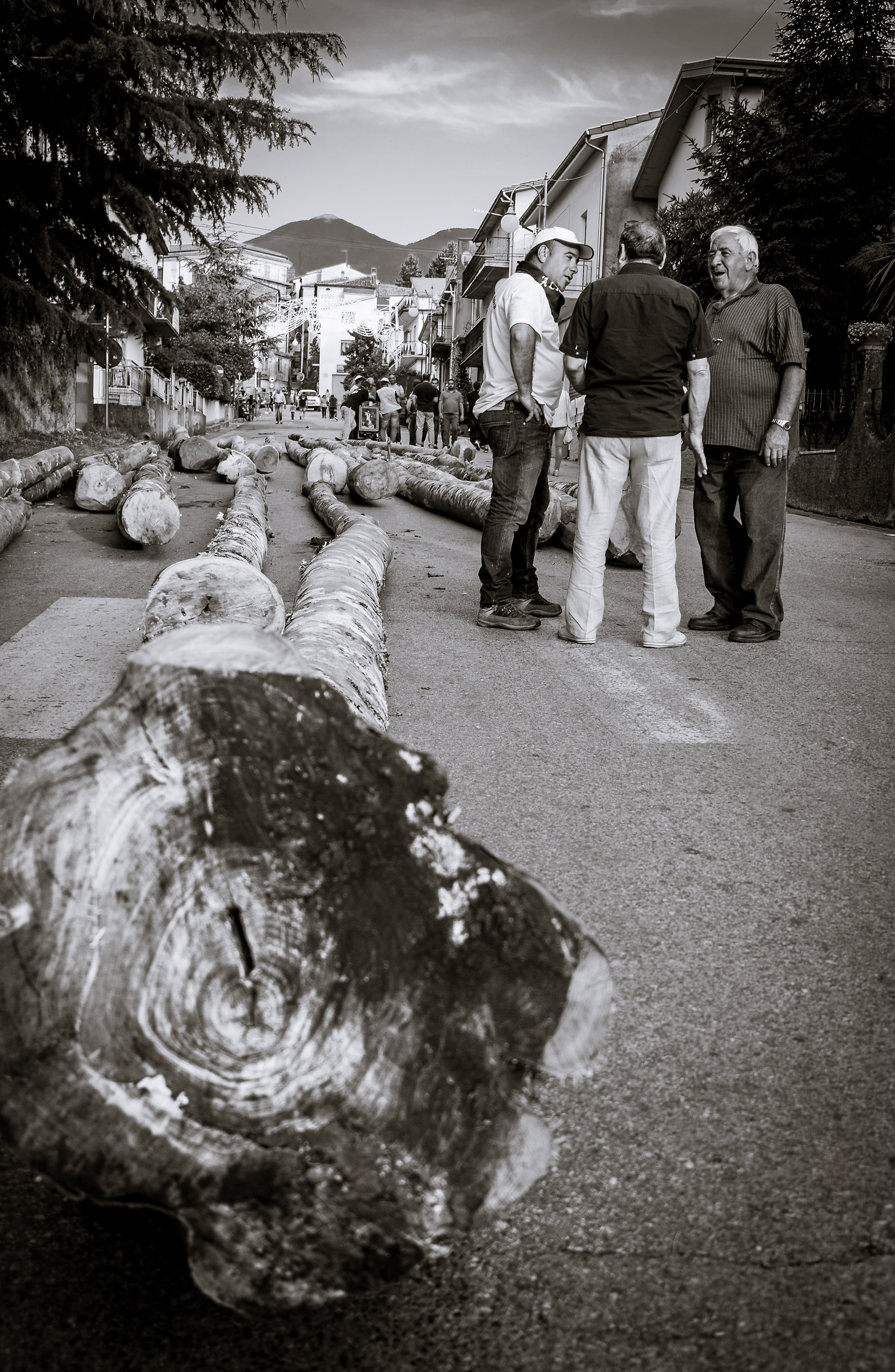 riti arborei del Pollino