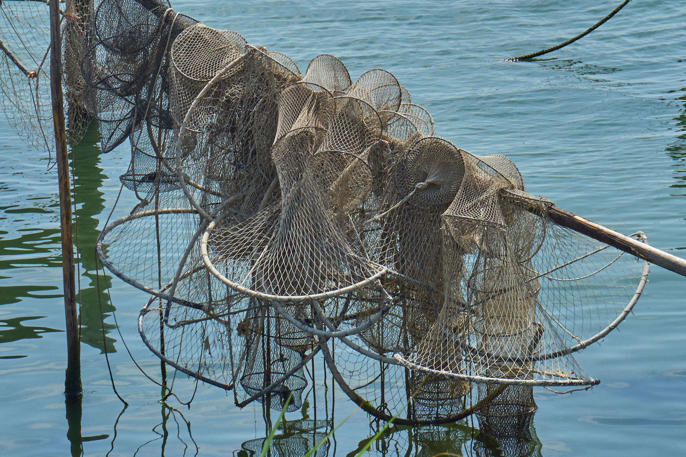 Fishing nets