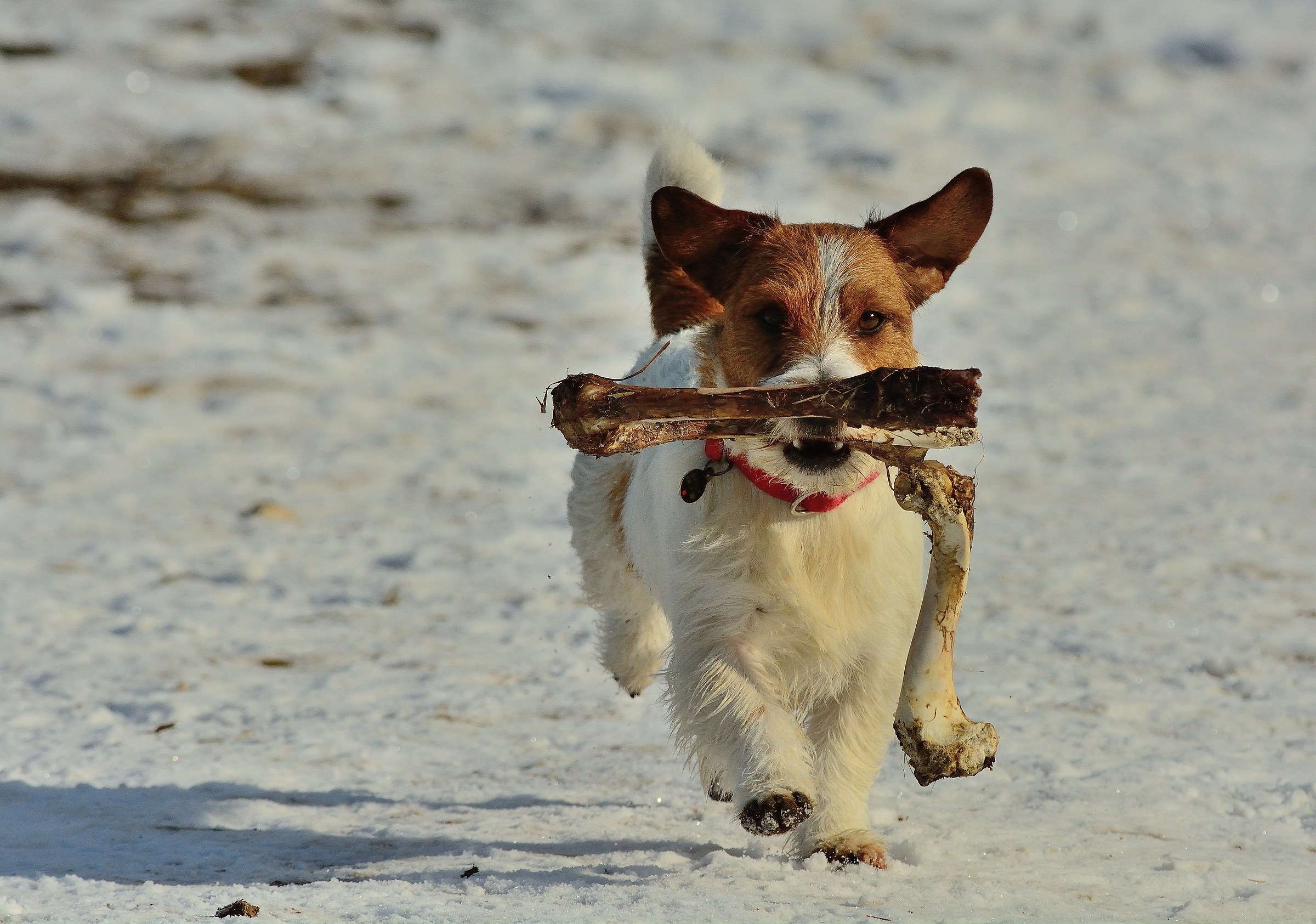 Guarda cosa ho trovato!