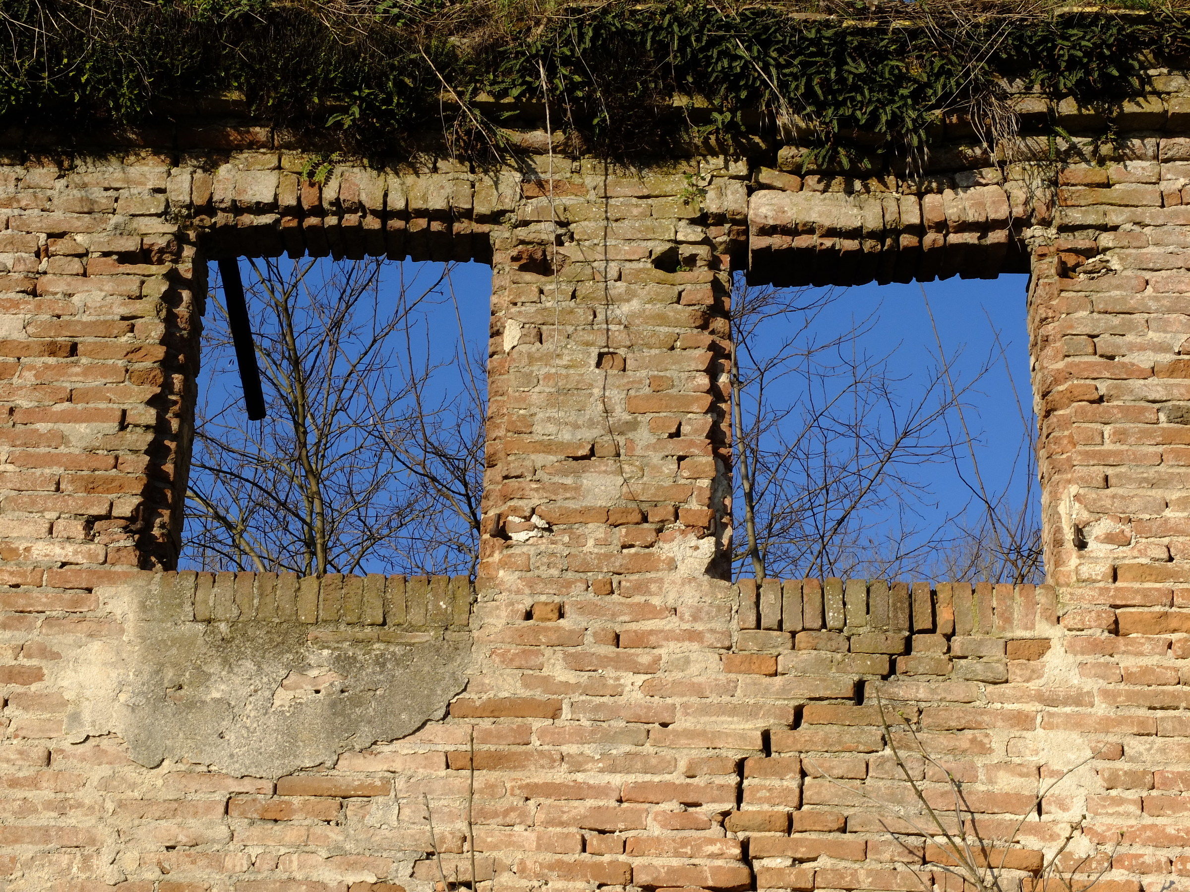 The eyes of the ruin