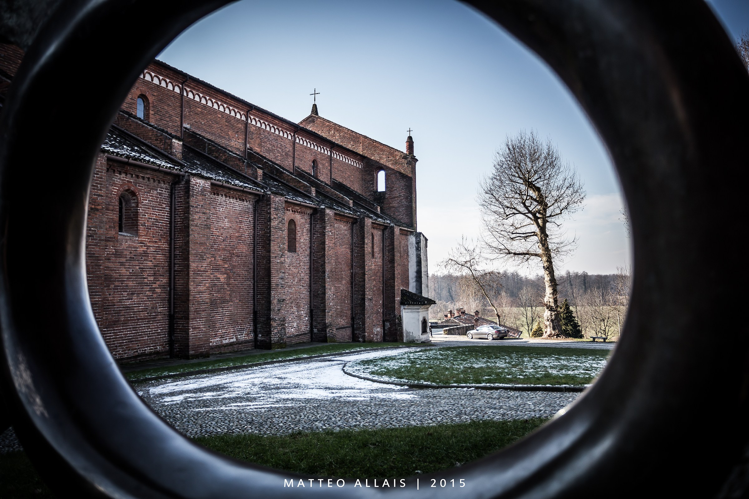 The tree and the Church